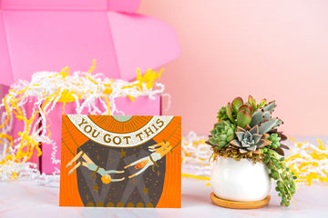 You Got This Succulent Gift Box | Succulent Arrangement