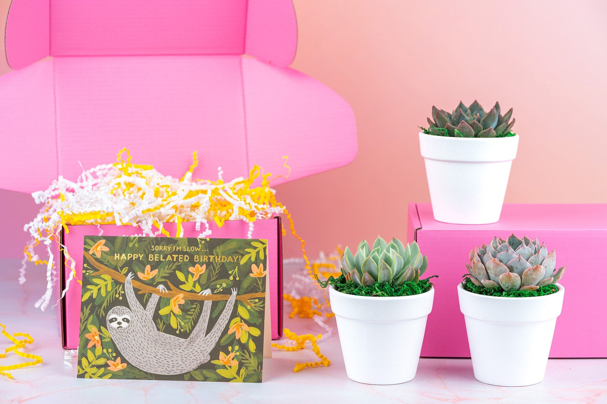 Happy Belated Birthday Succulent Gift Box | 3 Living Succulent Pots + Personalized Greeting Card