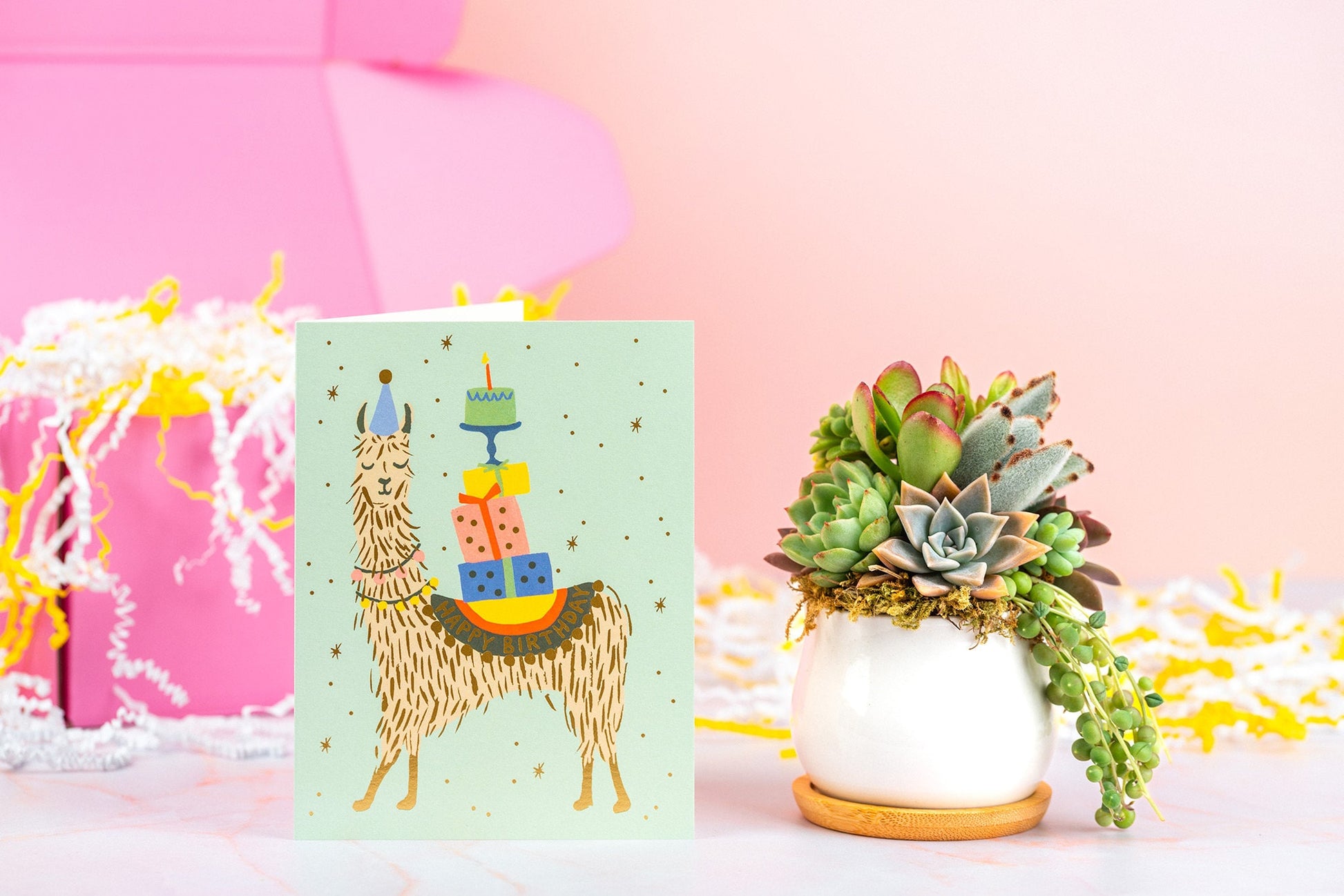 Happy Birthday Lama Succulent Gift Box | Succulent Arrangement + Personalized Greeting Card