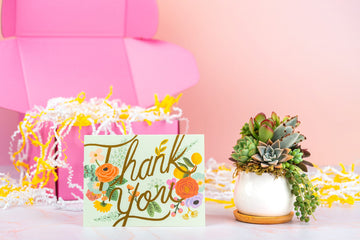 Thank You Succulent Gift Box | Succulent Arrangement + Personalized Greeting Card, Gratitude & Appreciation Gift