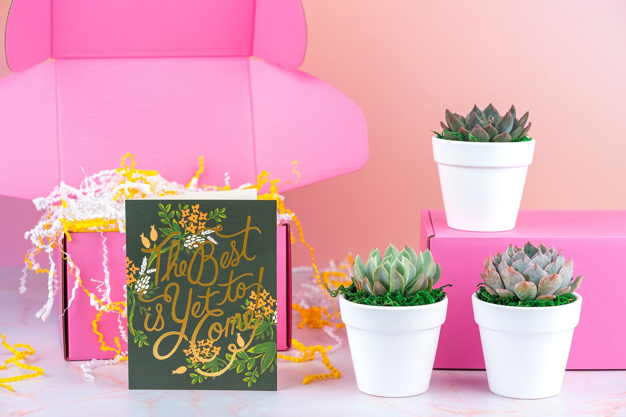 The Best is Yet to Come Succulent Gift Box | 3 Living Succulent Pots + Personalized Greeting Card, Encouragement, Supportive Gift