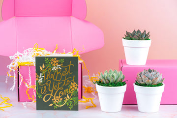 The Best is Yet to Come Succulent Gift Box | 3 Living Succulent Pots