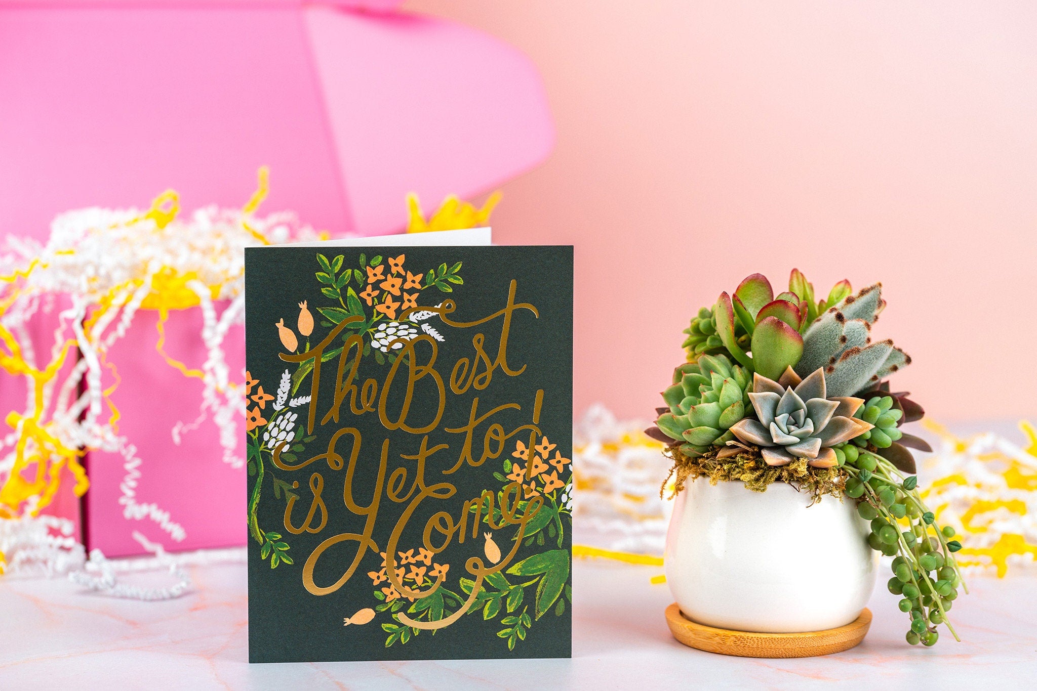 The Best is Yet to Come Succulent Gift Box | Succulent Arrangement + Personalized Greeting Card, Encouragement, Supportive Gift