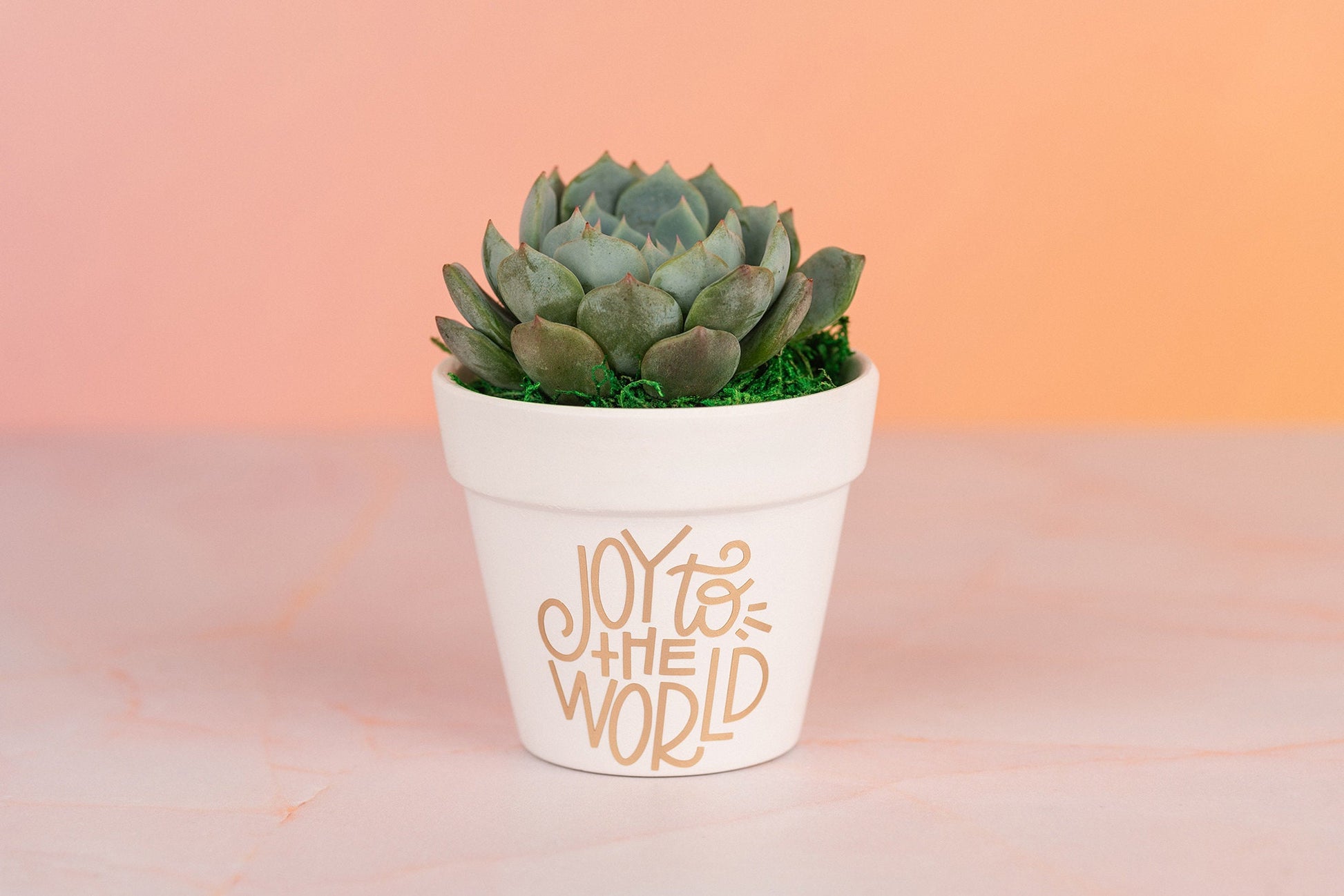 Joy to the World Succulent Party Favors for Christmas, Holiday Parties, Client Gifts, Employee Gifts with Optional Personalization