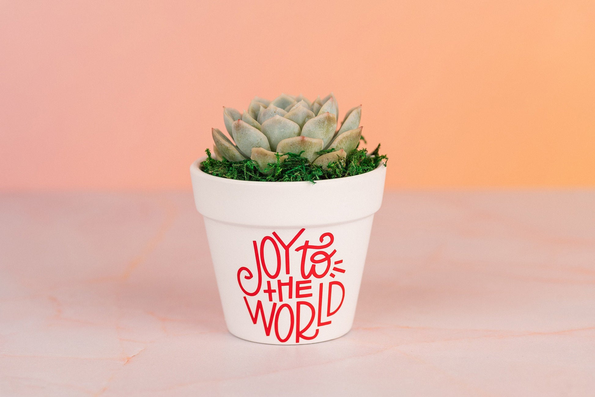 Joy to the World Succulent Party Favors for Christmas, Holiday Parties, Client Gifts, Employee Gifts with Optional Personalization