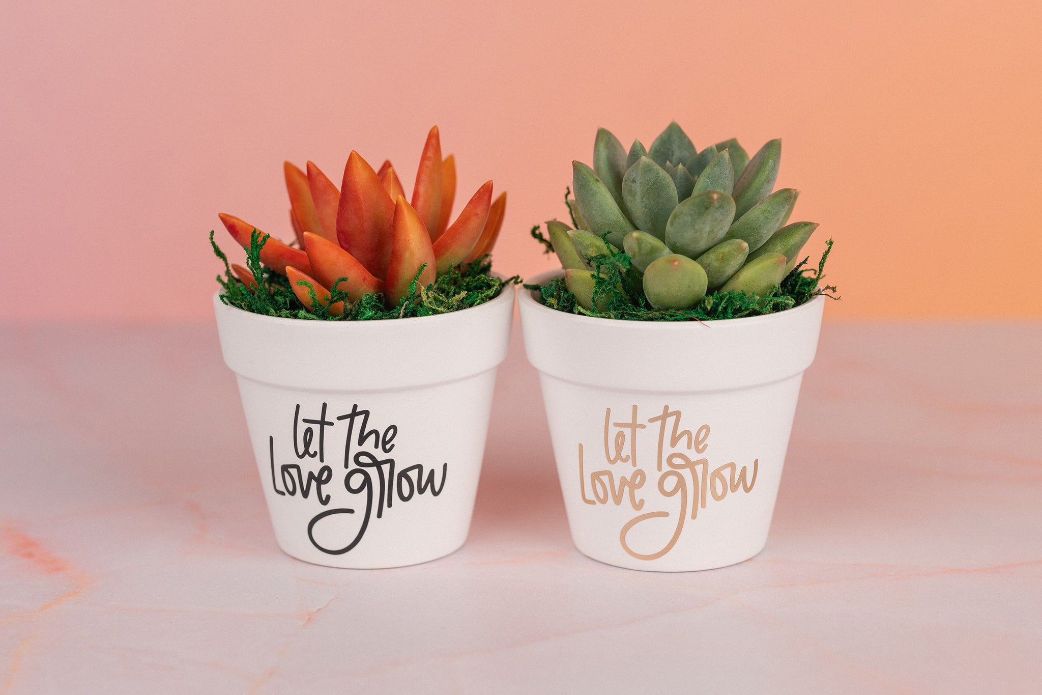 Let the Love Grow Succulent Party Favors for Wedding, Baby Shower, Bridal Shower or any Celebration Event with Optional Personalization