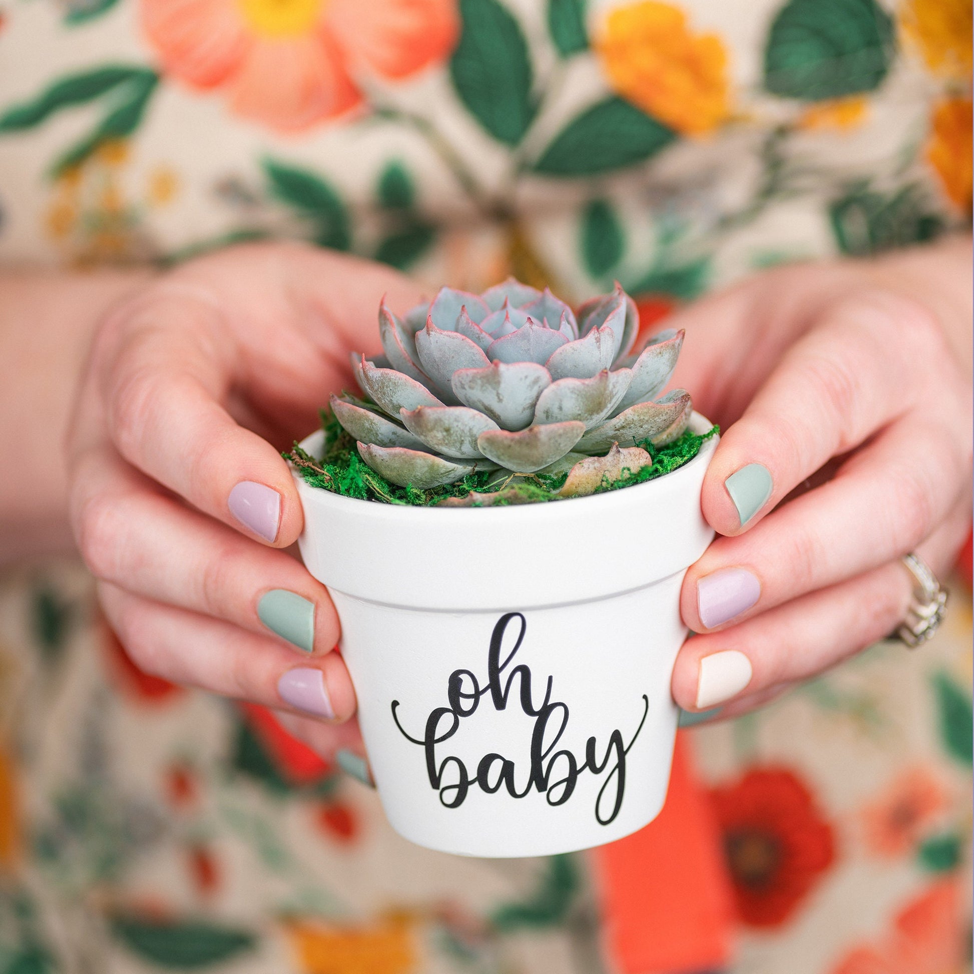 Oh Baby Succulent Party Favors for Baby Shower Celebration Event with Optional Personalization