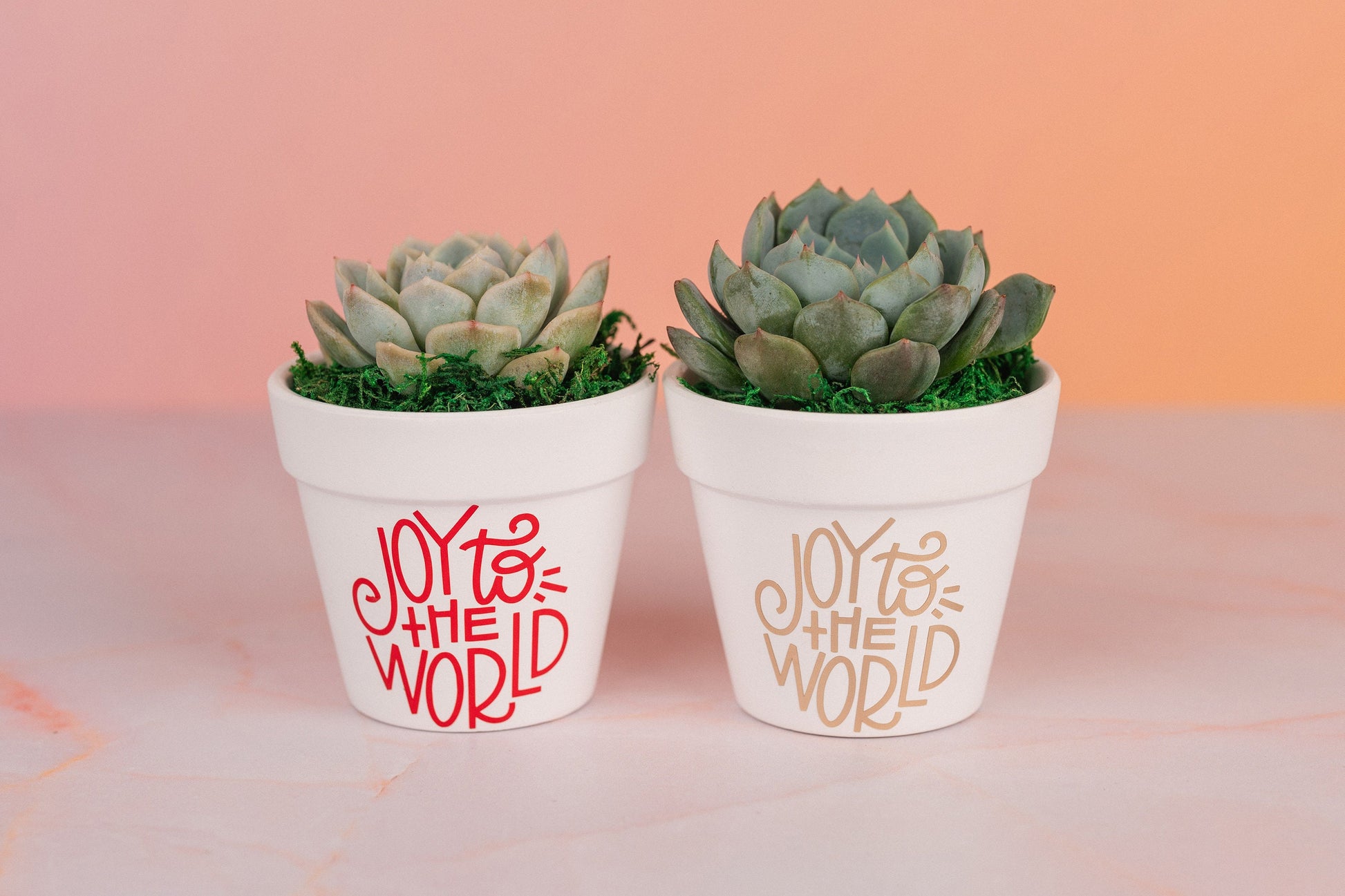 Joy to the World Succulent Party Favors for Christmas, Holiday Parties, Client Gifts, Employee Gifts with Optional Personalization