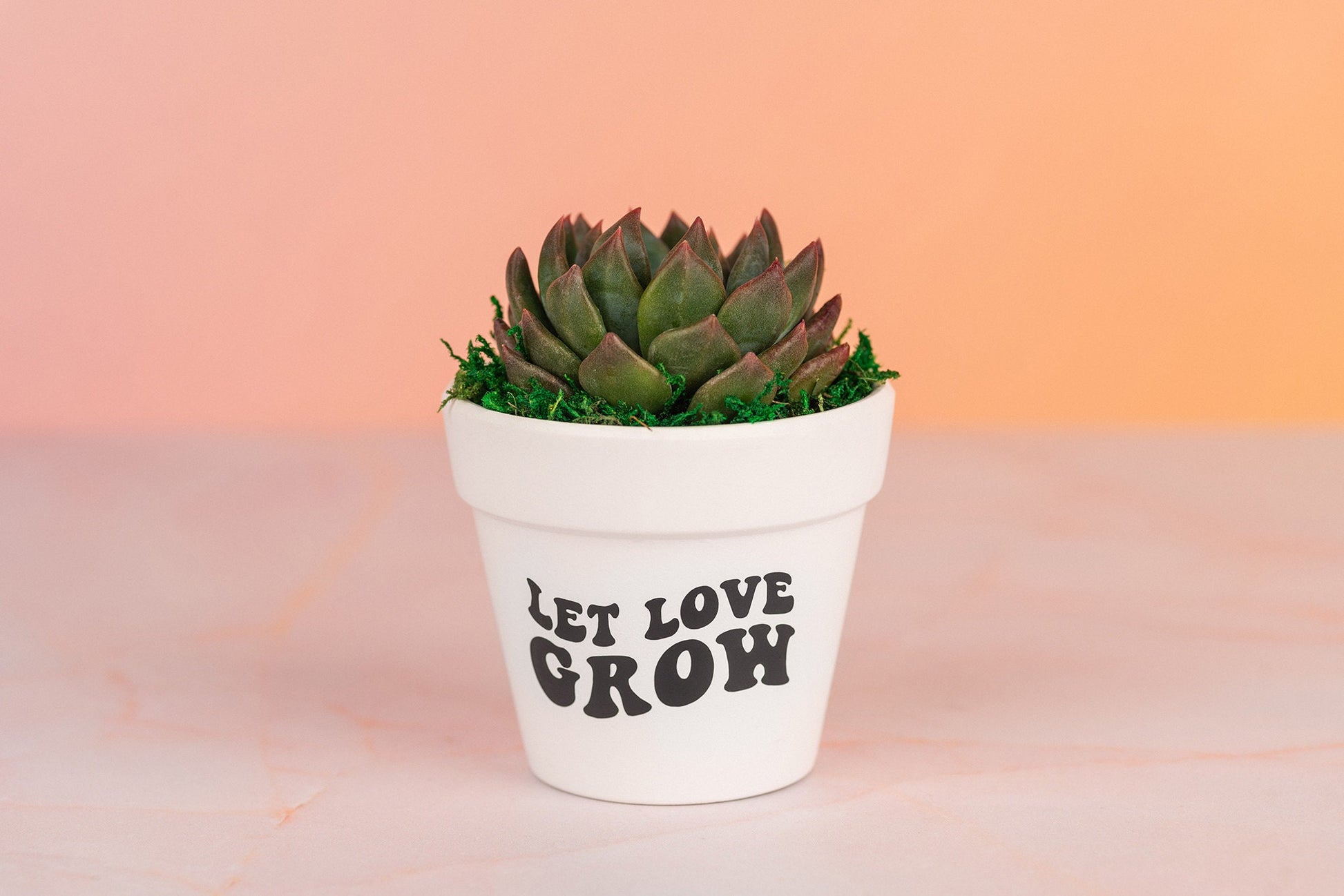 Let Love Grow 3" Succulent Party Favors for Wedding Day, Bridal Shower, and Baby Shower with Optional Personalization