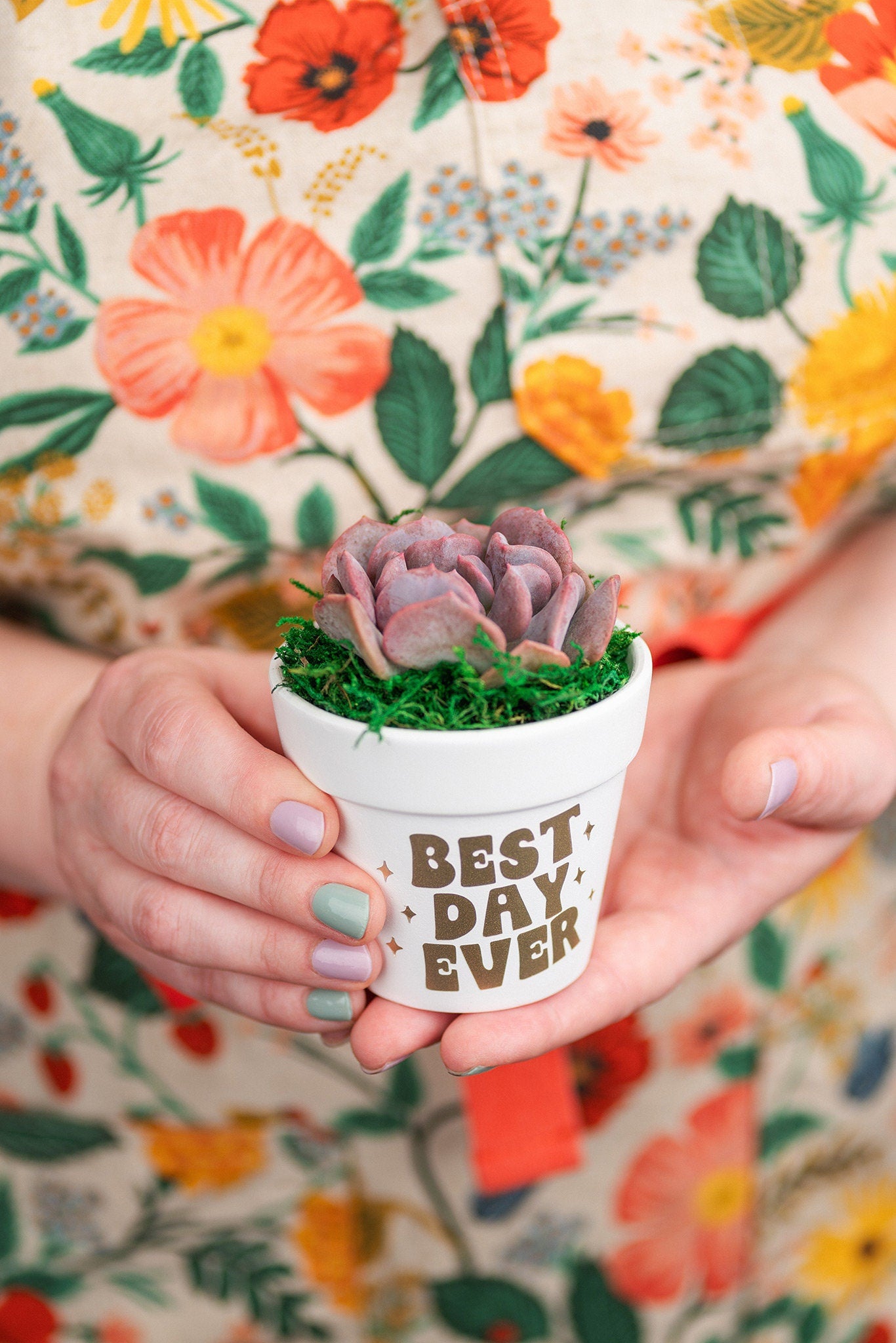 Let the Love Grow Succulent Party Favors for Wedding, Baby Shower, Bridal Shower or any Celebration Event with Optional Personalization