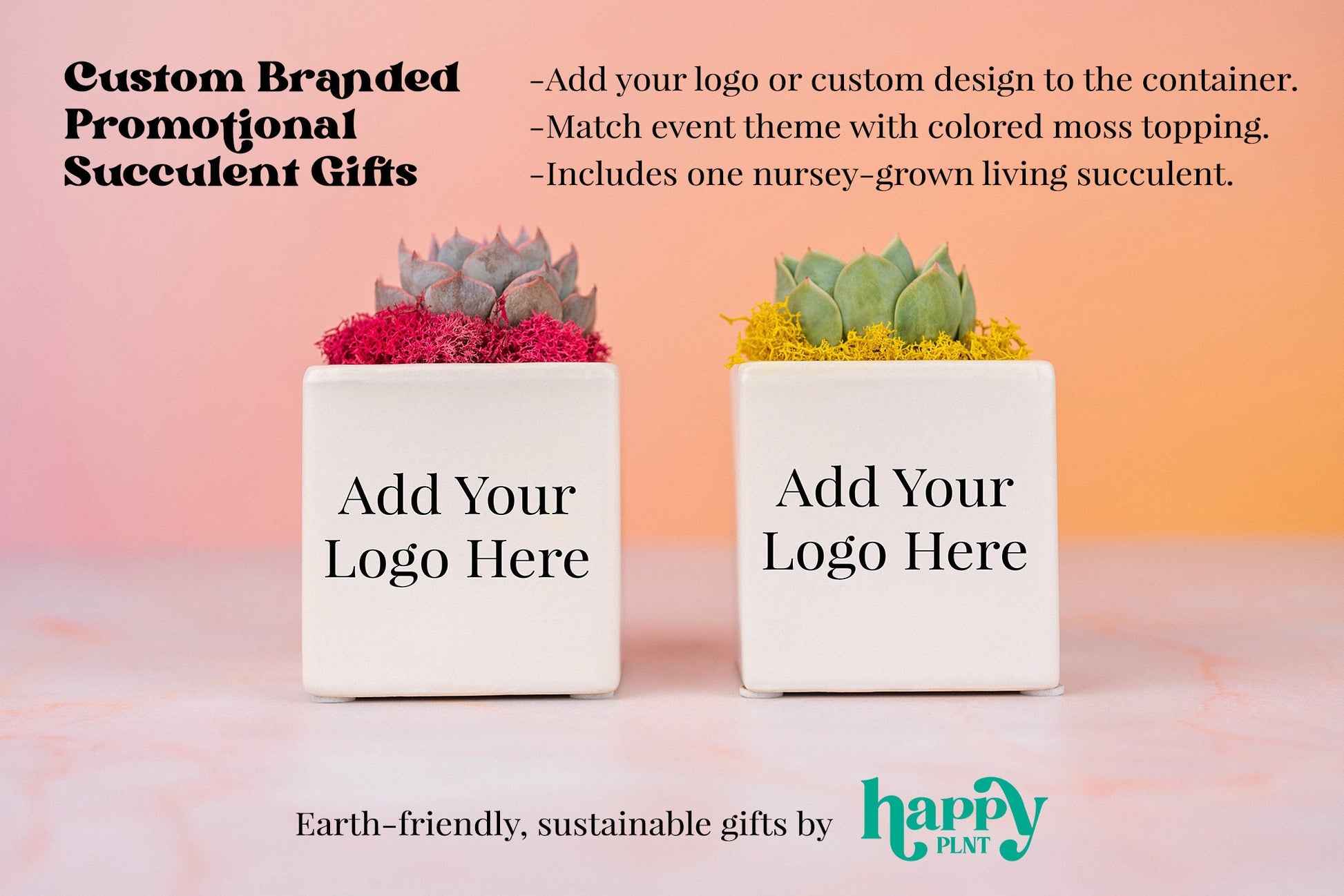 Custom Logo Branded Succulent Small Square Gifts for Tradeshows, Conventions, Employee Gifts, Client Promotions | Earth-friendly Living Gift