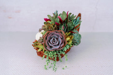 Cornucopia Succulent Thanksgiving Centerpiece Fall Home Decor Arrangement