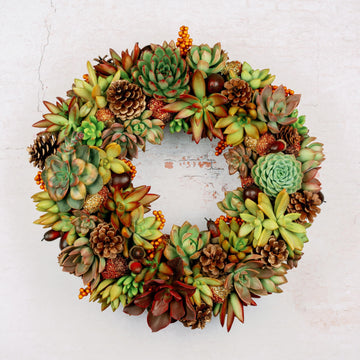 Fall Succulent Door Wreath for Thanksgiving Halloween | Natural Autumn Home Decor