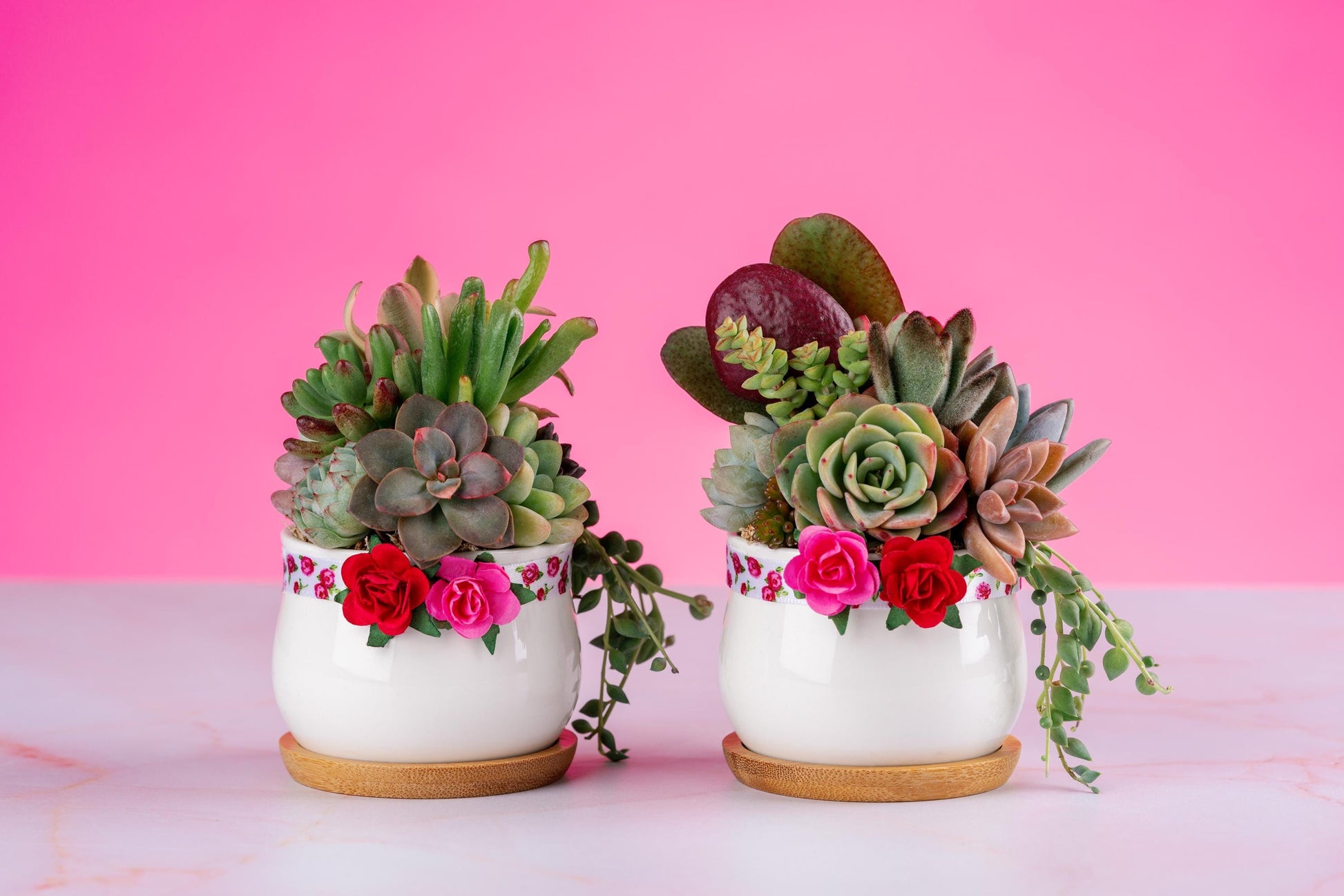 small rose succulent Red Rose Mini Succulent Arrangement