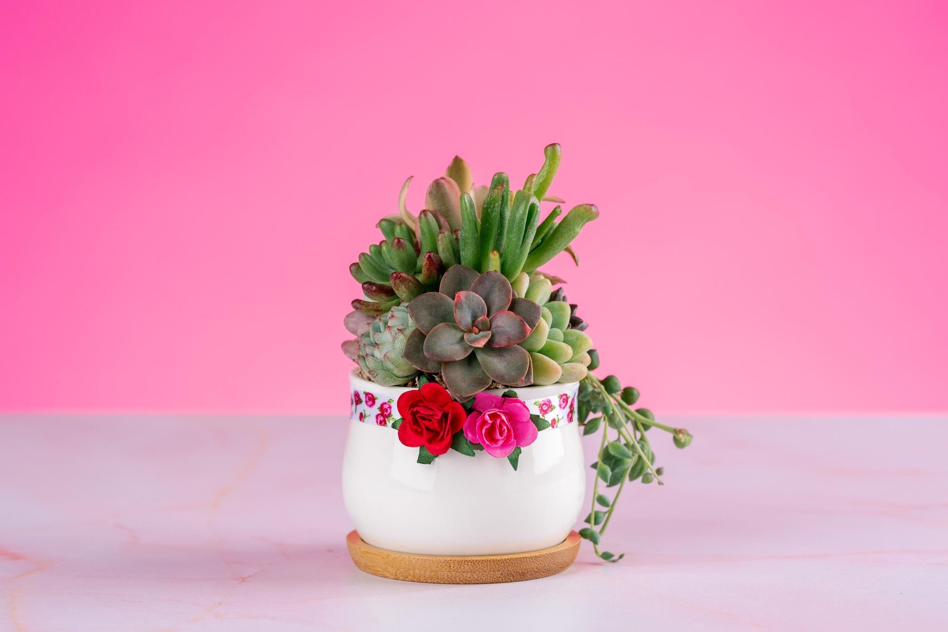 roses and succulents Red Rose Mini Succulent Arrangement
