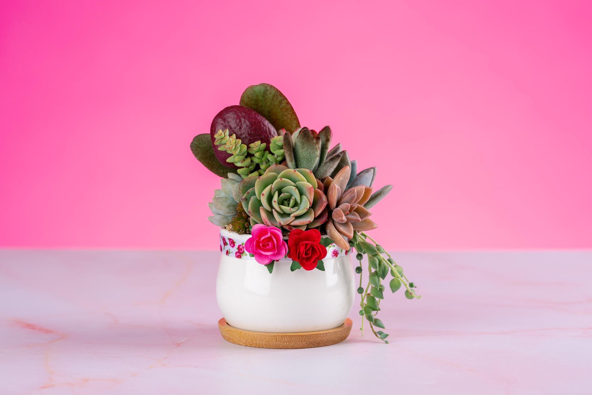 small rose like succulent Red Rose Mini Succulent Arrangement