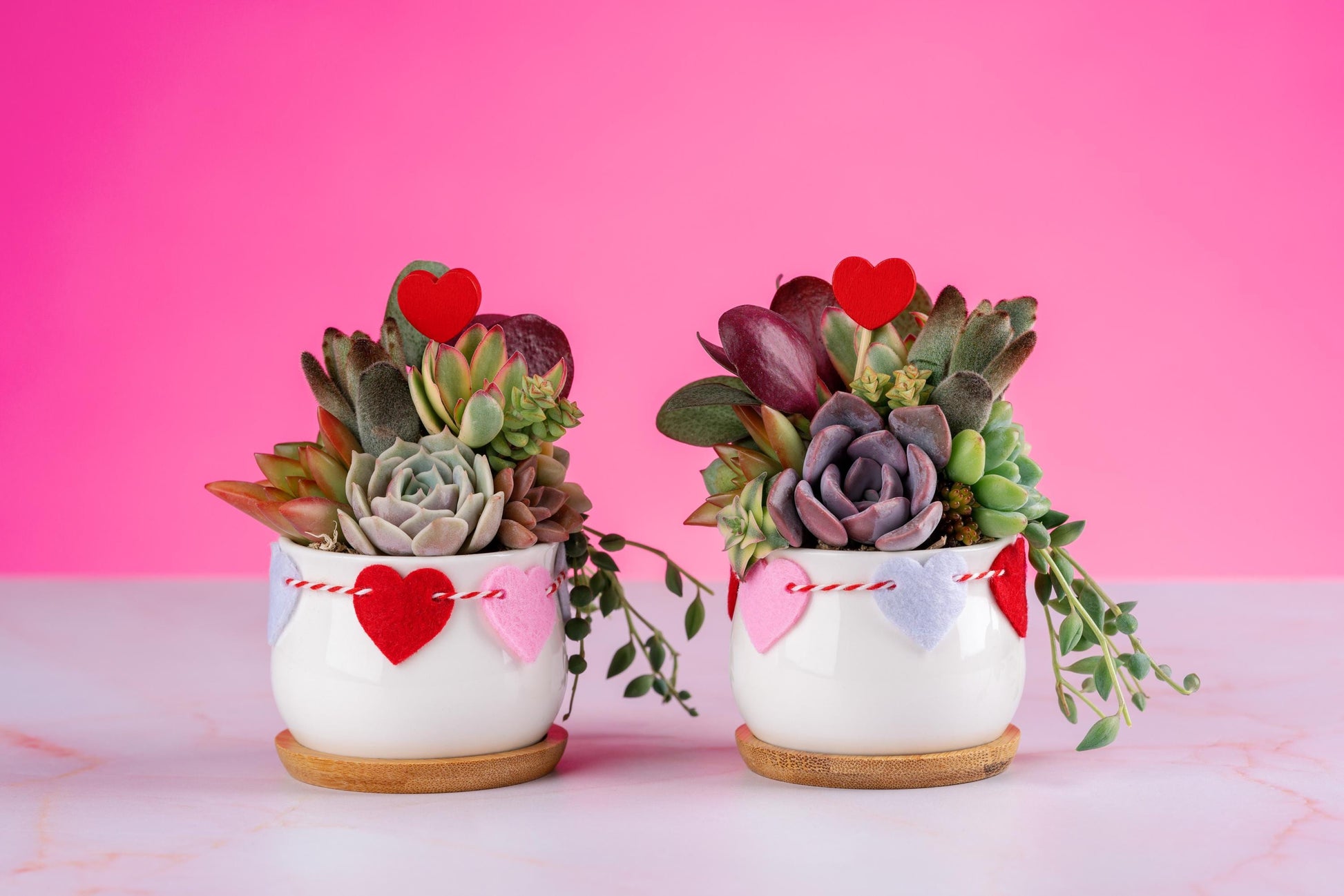 succulent heart arrangement Heart Mini Succulent Arrangement