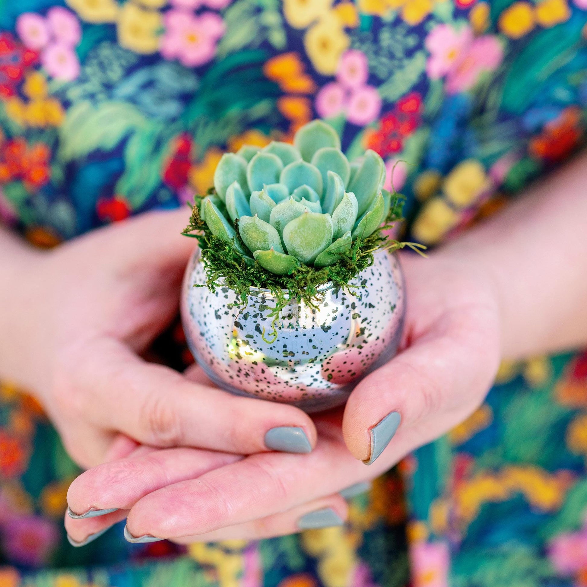 Succulent Favors in Silver Mercury Glass Globes for Weddings and Events