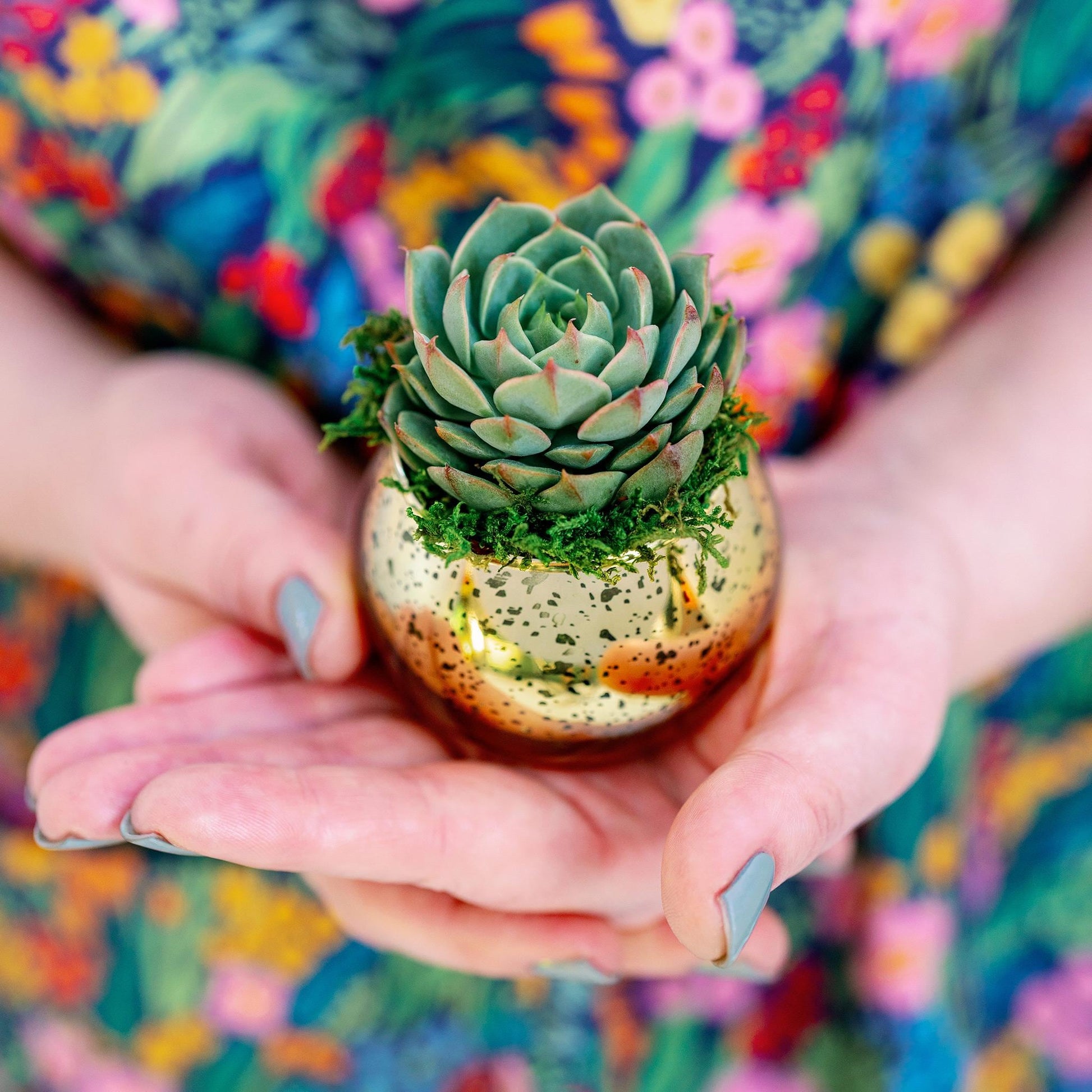 Succulent Favors in Gold Mercury Glass Globes for Weddings and Events