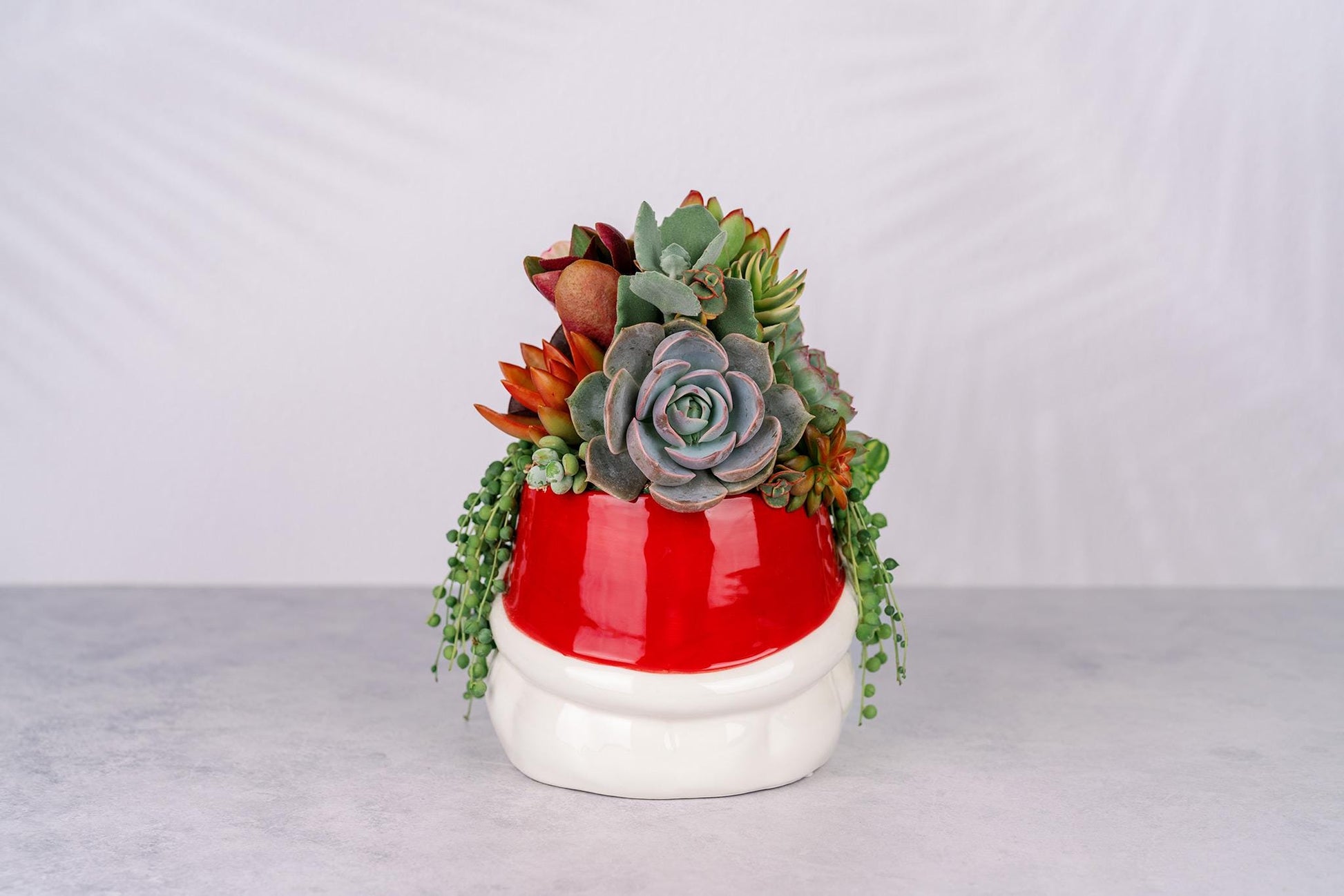 Santa Christmas Succulent Arrangement for Holiday Home Decor and Gift