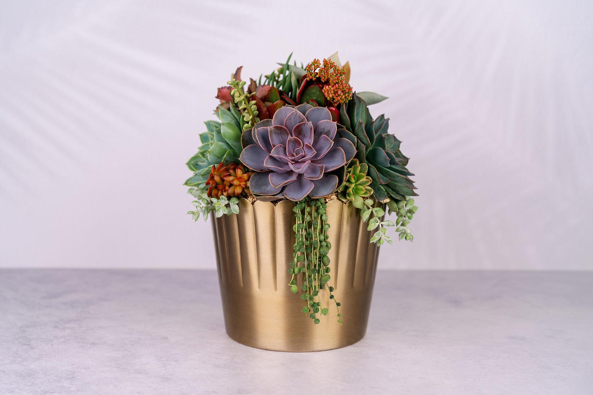 Succulent Arrangement in Large Gold Metal Planter