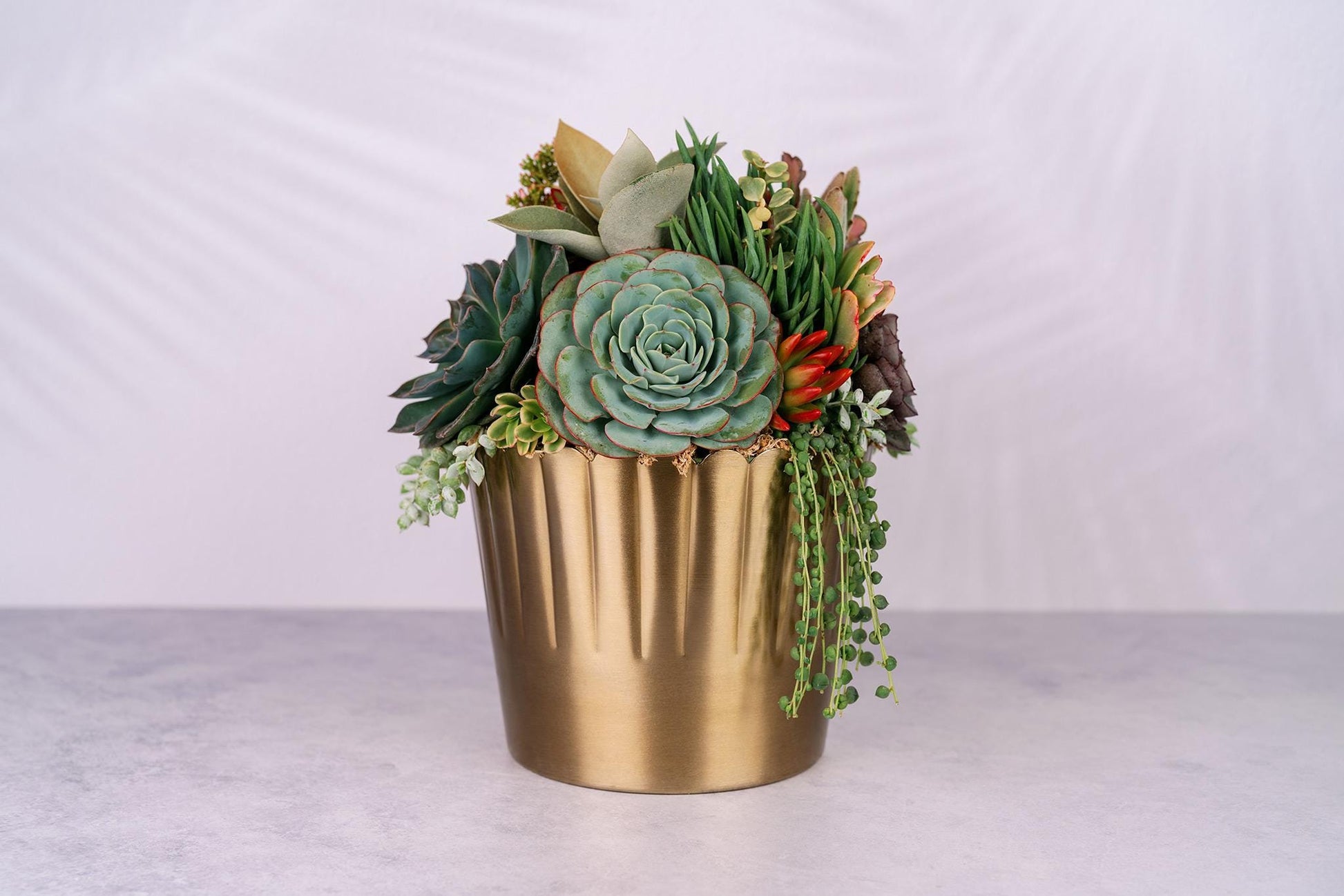Succulent Arrangement in Large Gold Metal Planter