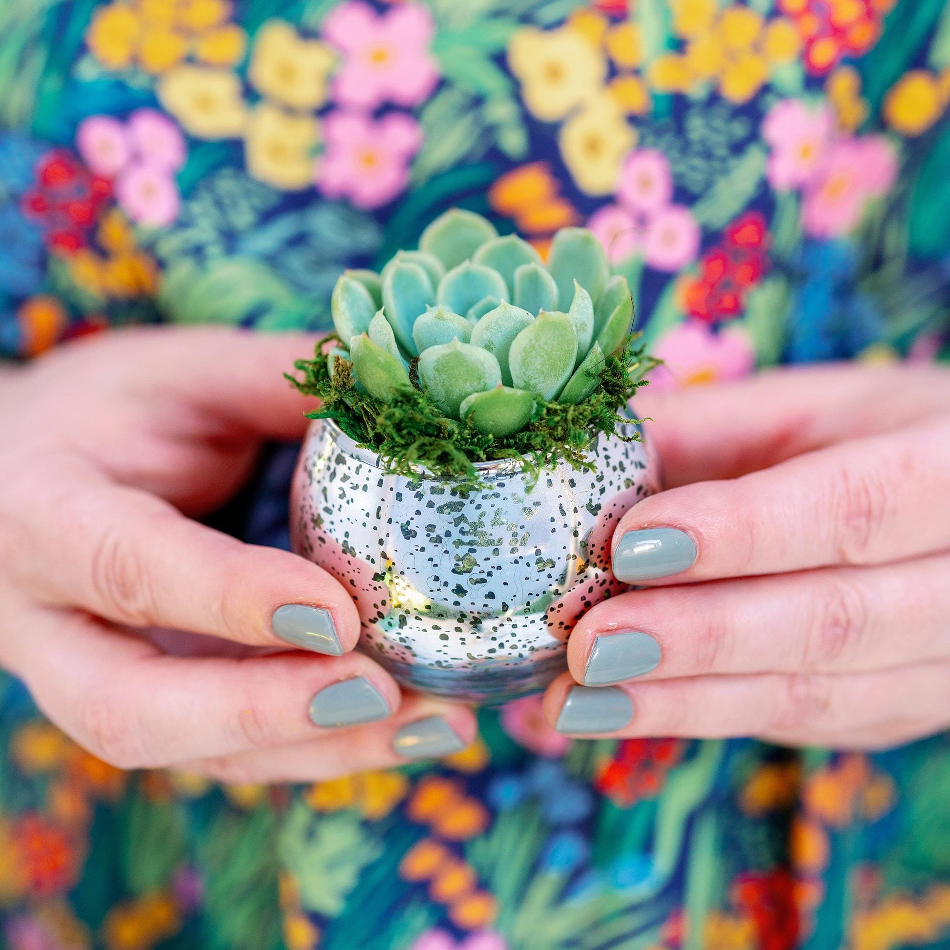 mini succulents favors Succulent Favors in Silver Mercury Glass Globes