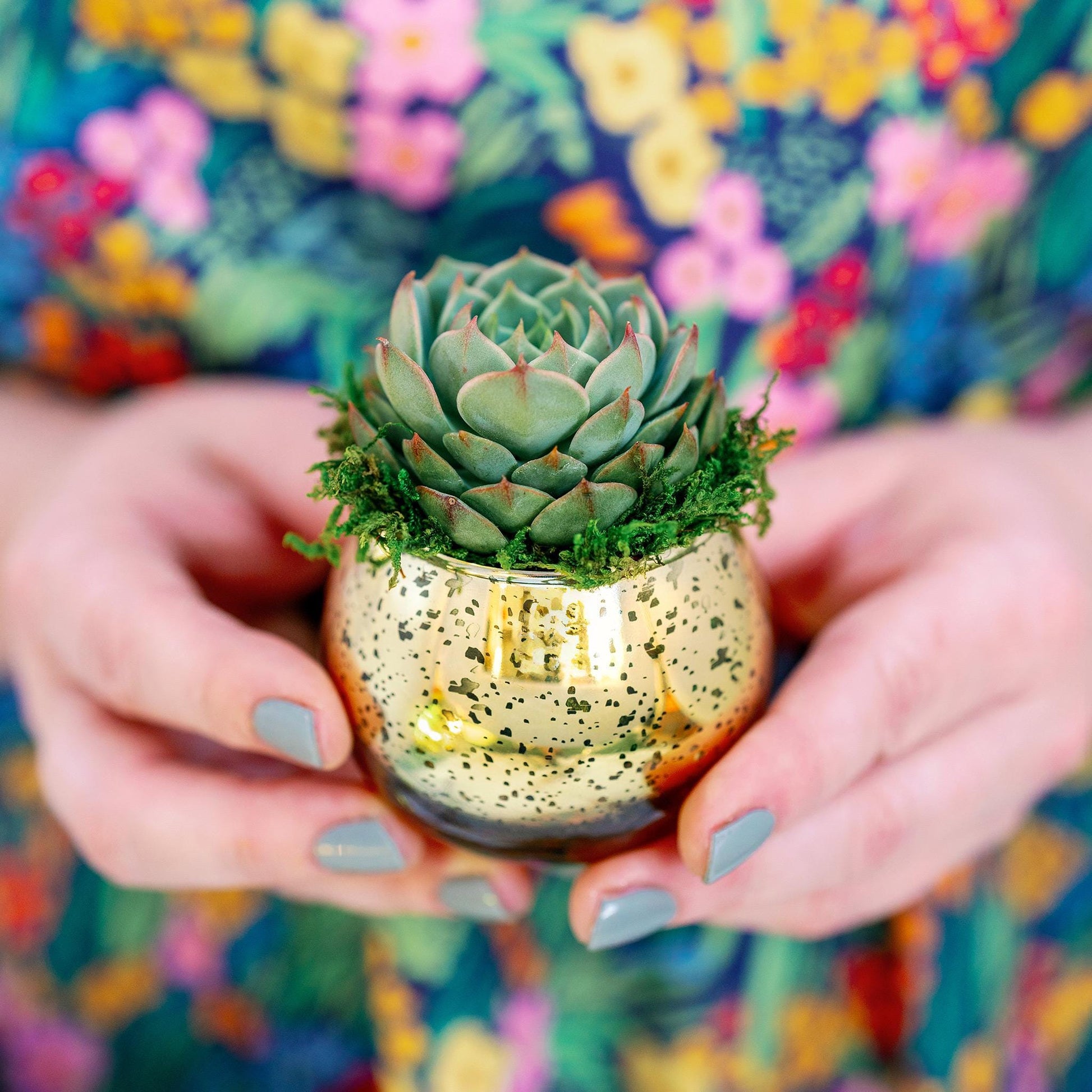 Succulent Favors in Gold Mercury Glass Globes for Weddings and Events