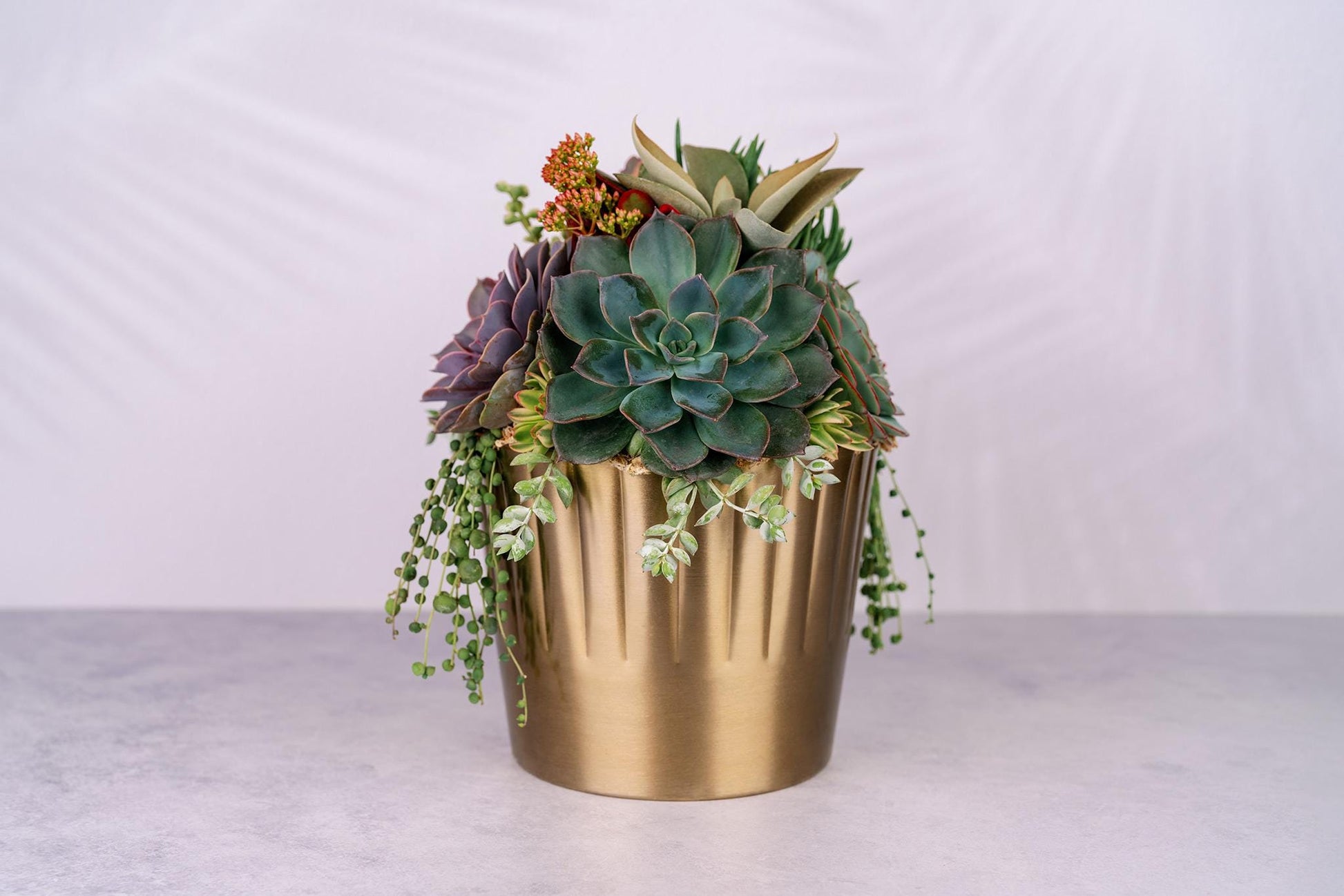 Succulent Arrangement in Large Gold Metal Planter
