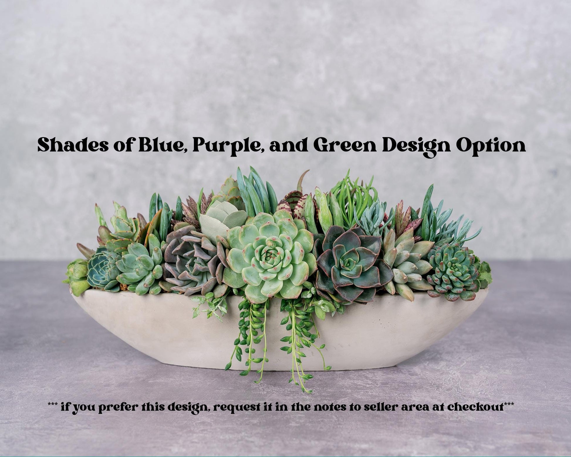 Long Cement Boat Succulent Arrangement Planter