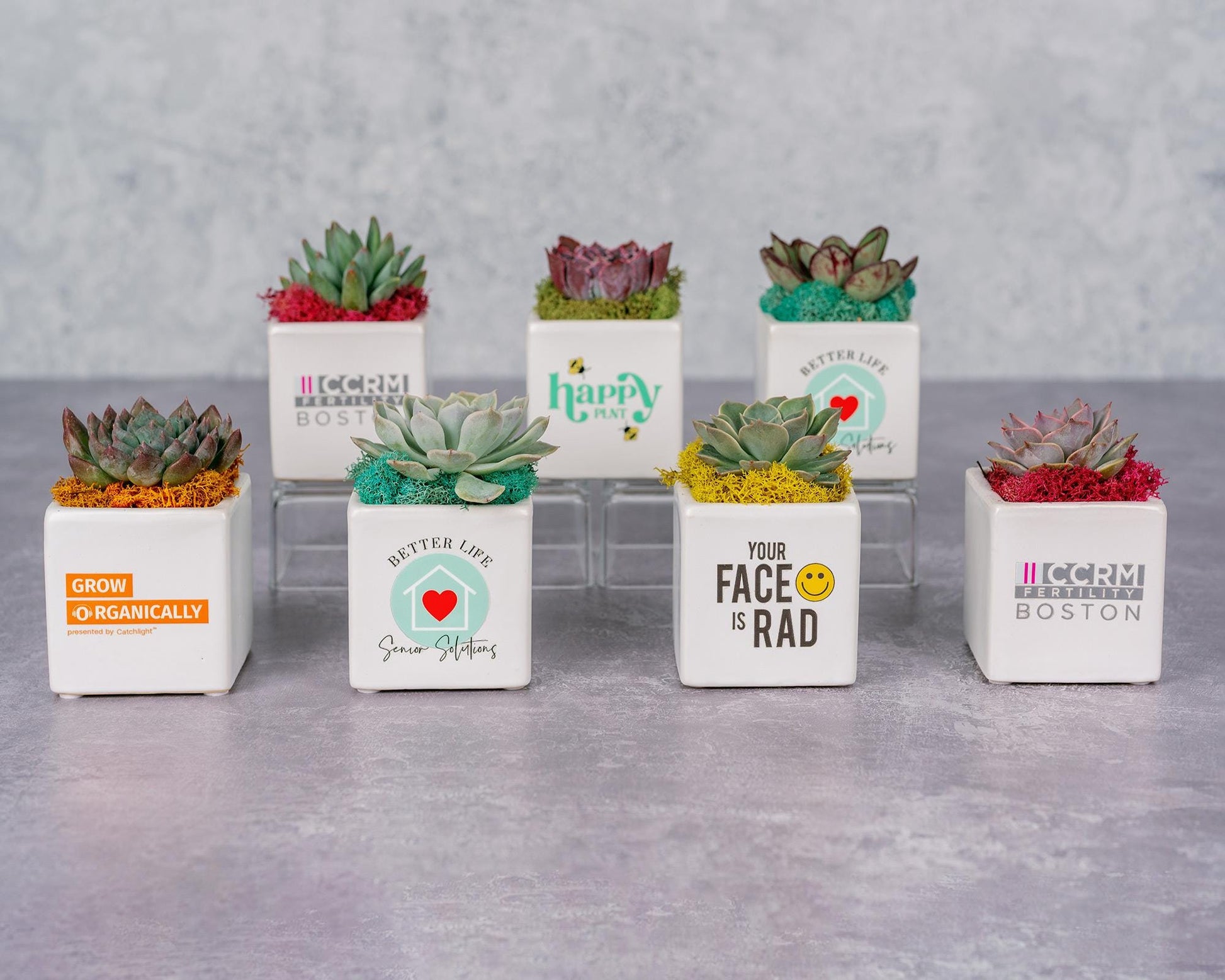 Succulent Square Planter with Custom Business Logo