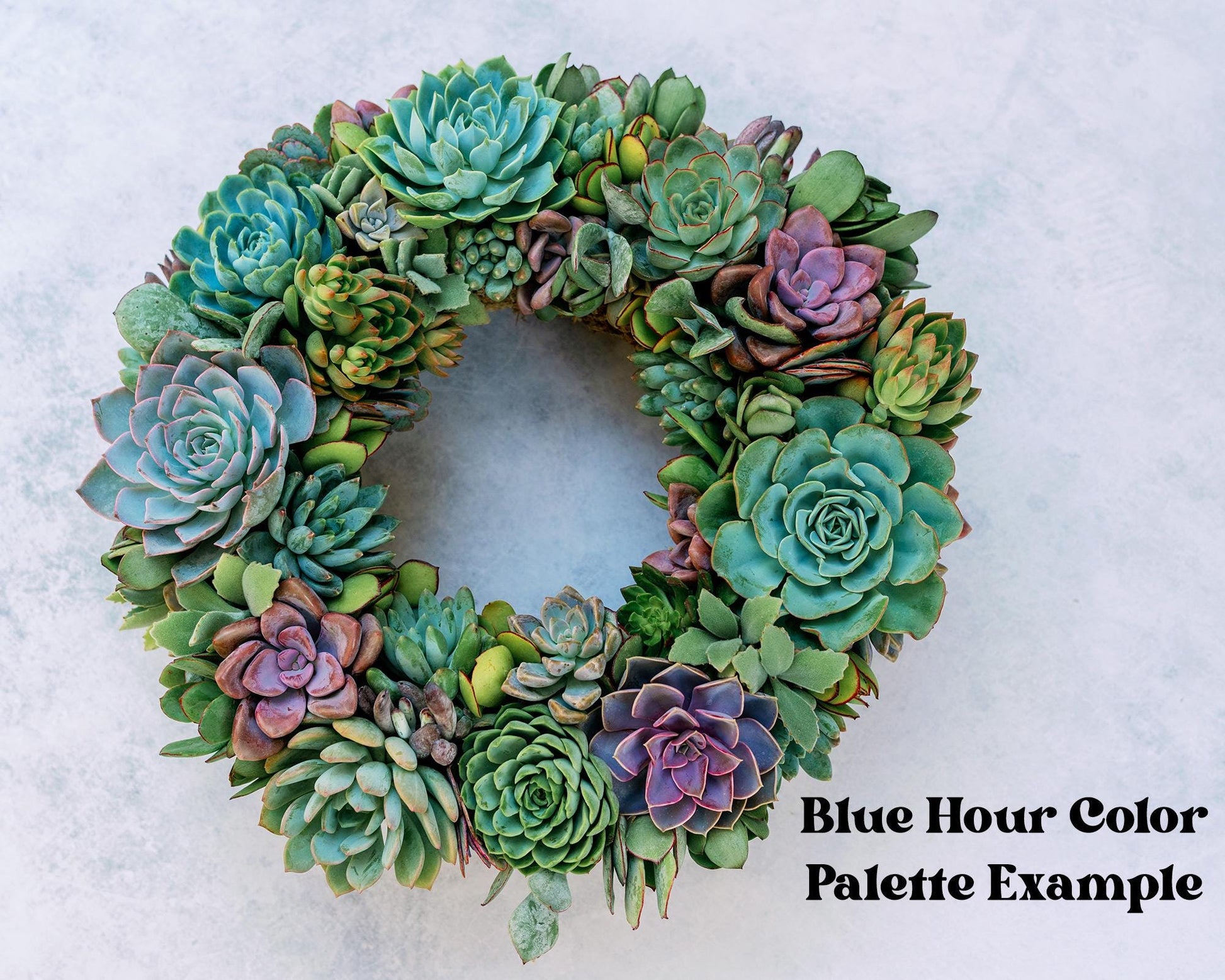 Square Living Succulent Wreath: Colorful Front Door Decor, Eco-Friendly Gift