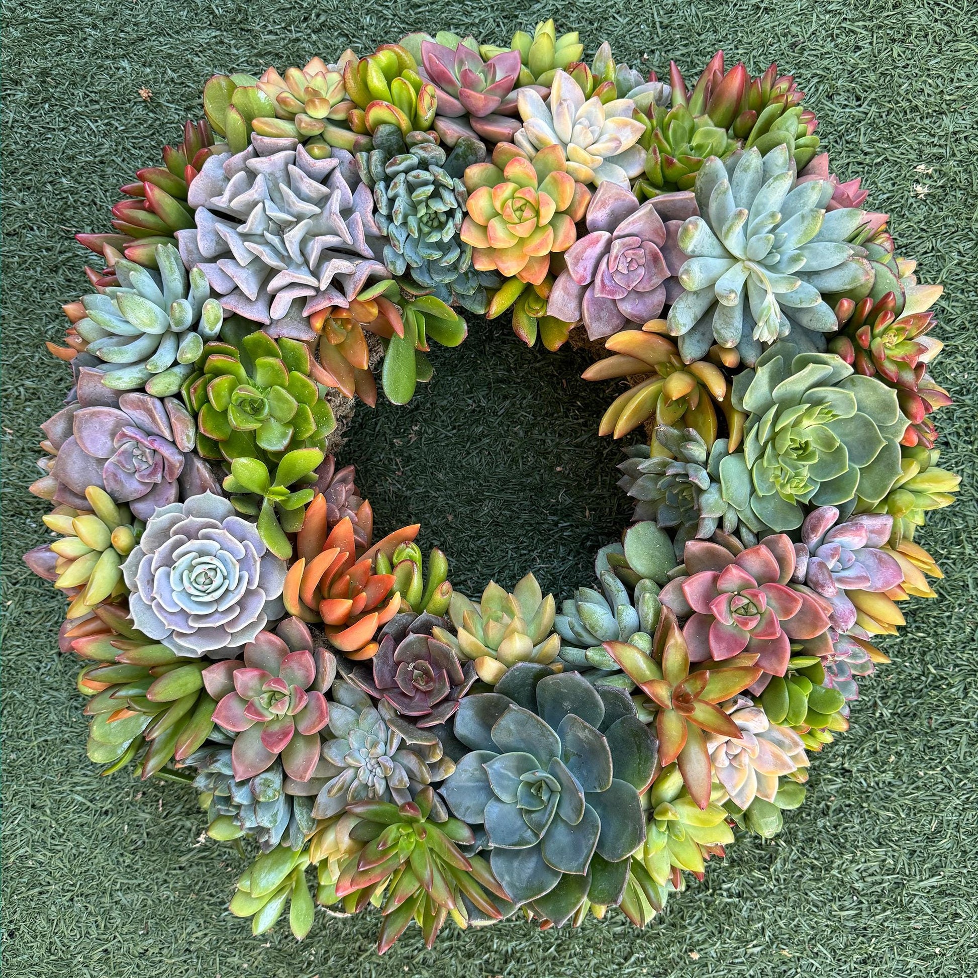 Succulent Moss Wreath Trimmed with Living Colorful Succulents