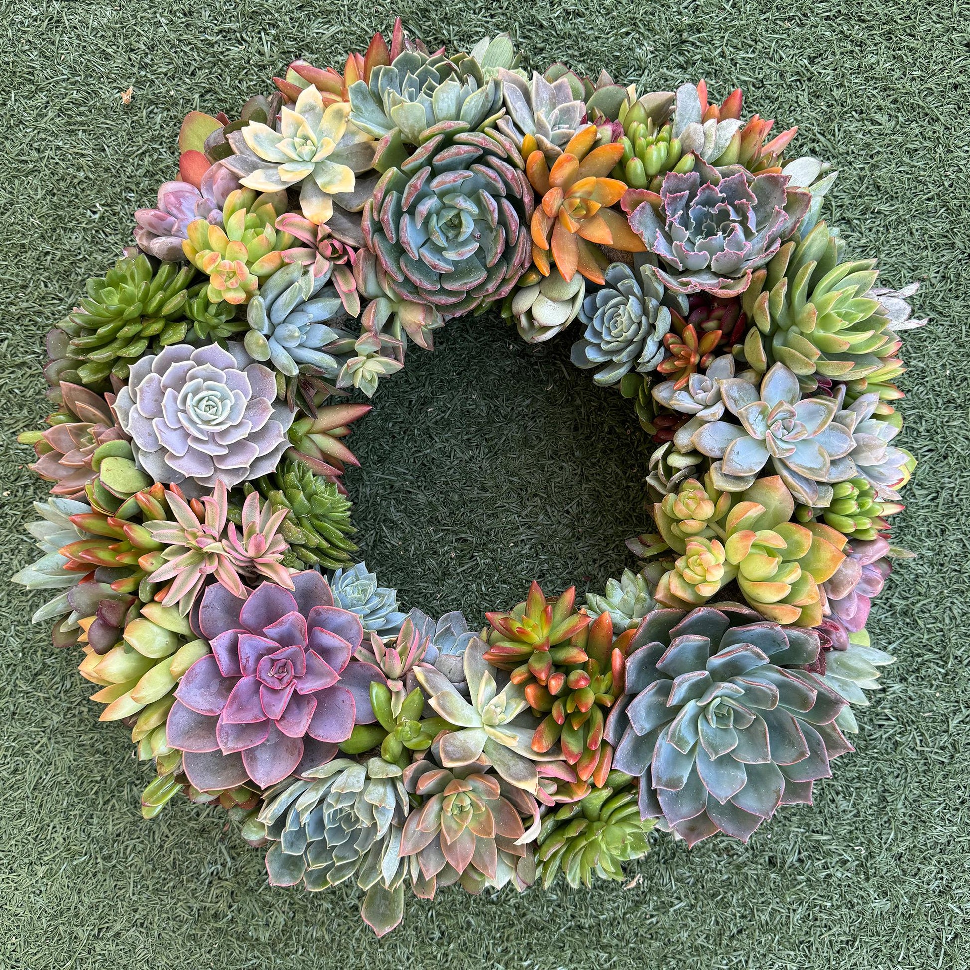 Succulent Moss Wreath Trimmed with Living Colorful Succulents