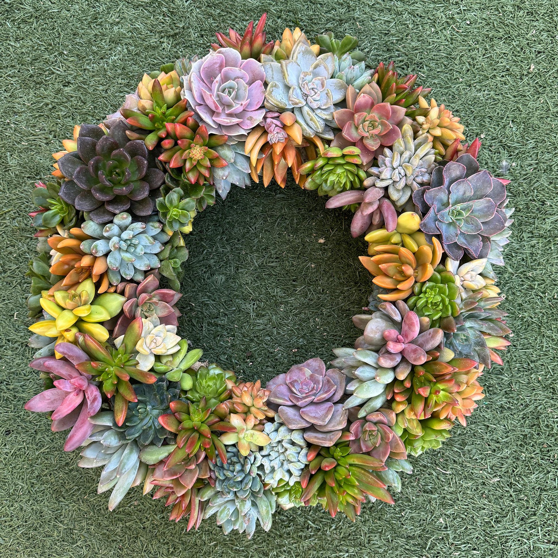 Succulent Moss Wreath Trimmed with Living Colorful Succulents