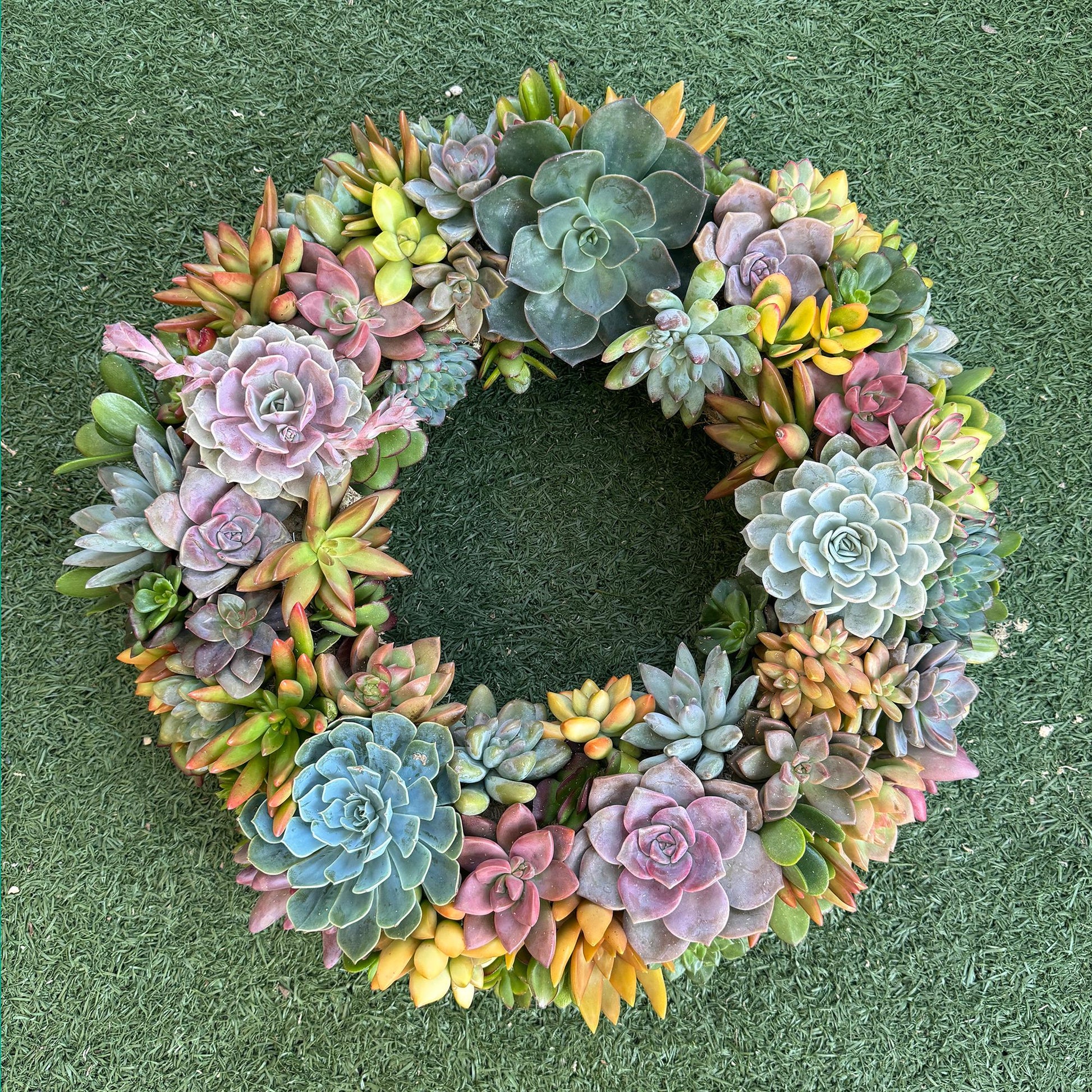 Succulent Moss Wreath Trimmed with Living Colorful Succulents