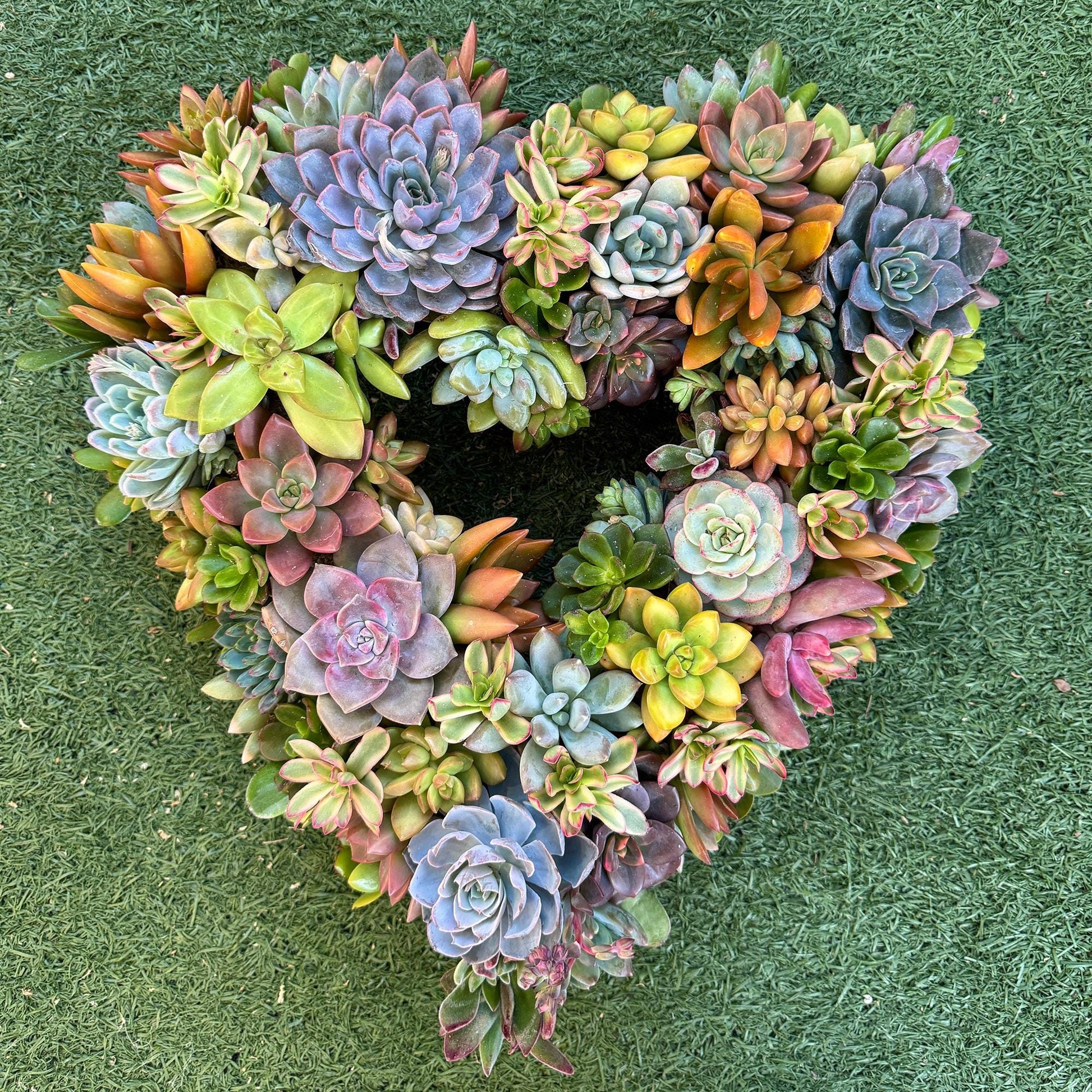 moss wreath for succulents Heart Succulent Moss Wreath