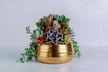 Brushed Gold Bowl Succulent Arrangement Planter: Available in 6" and 8" Diameters