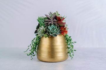 Brushed Gold Living Succulent Arrangement Planter