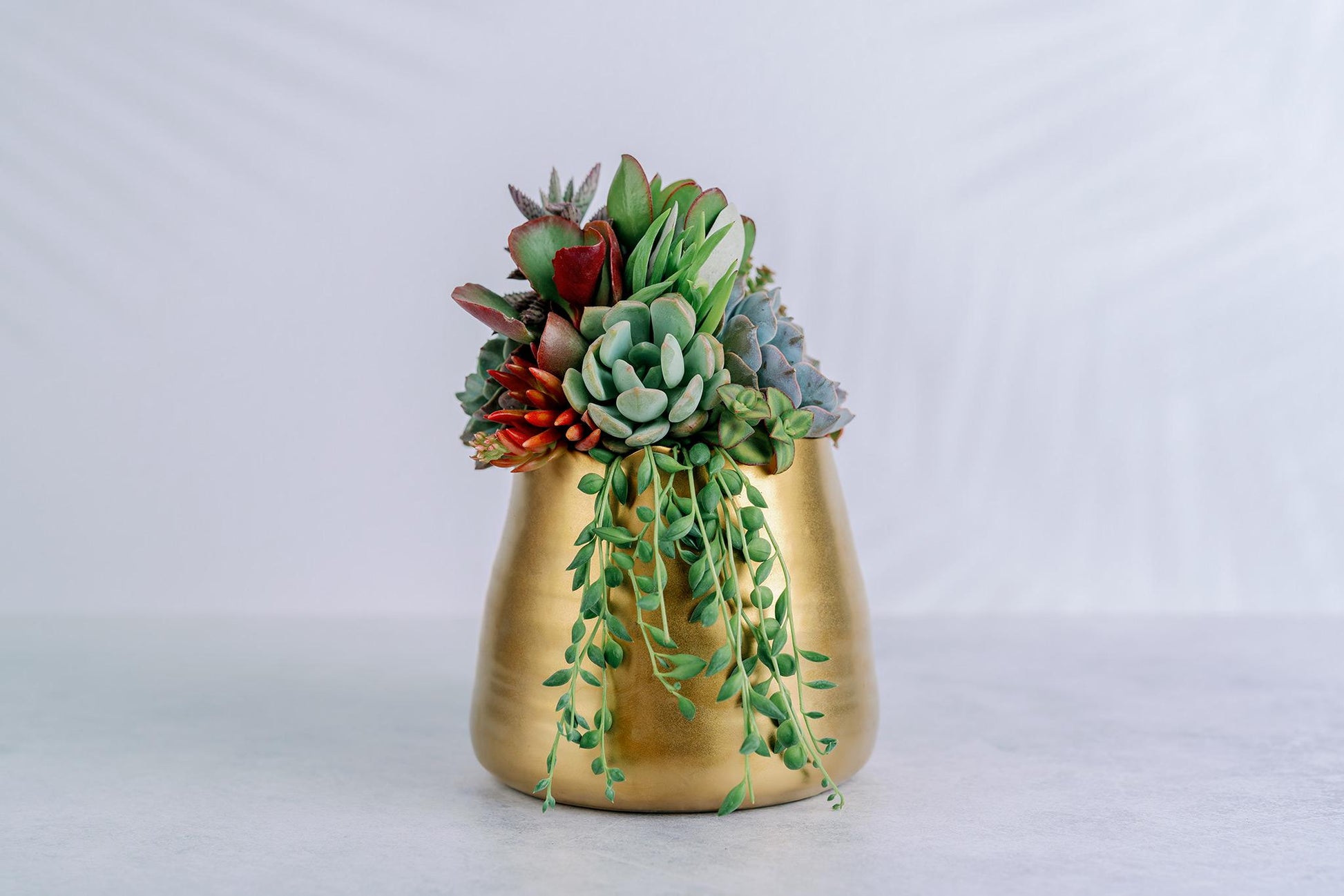 Brushed Gold Living Succulent Arrangement Planter
