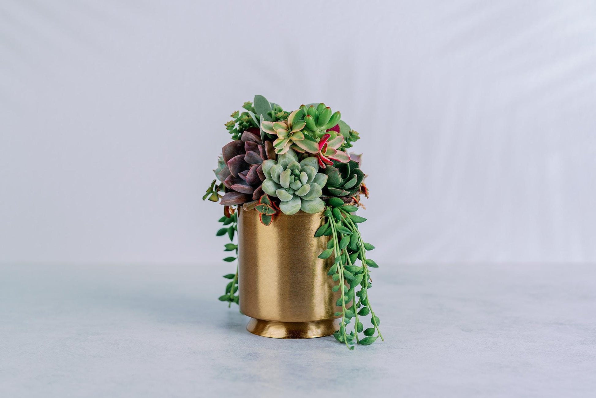 Small Gold Metal Footed Succulent Arrangement