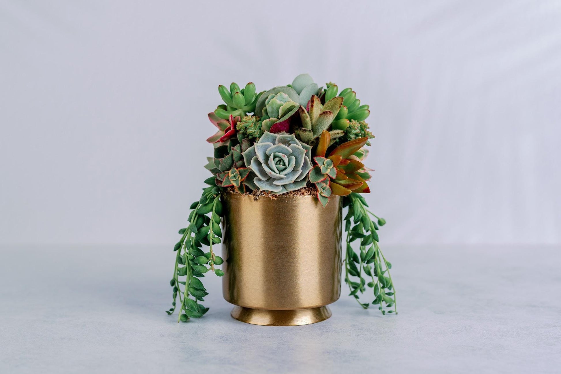 rose gold succulent pot Small Gold Metal Footed Succulent Arrangement