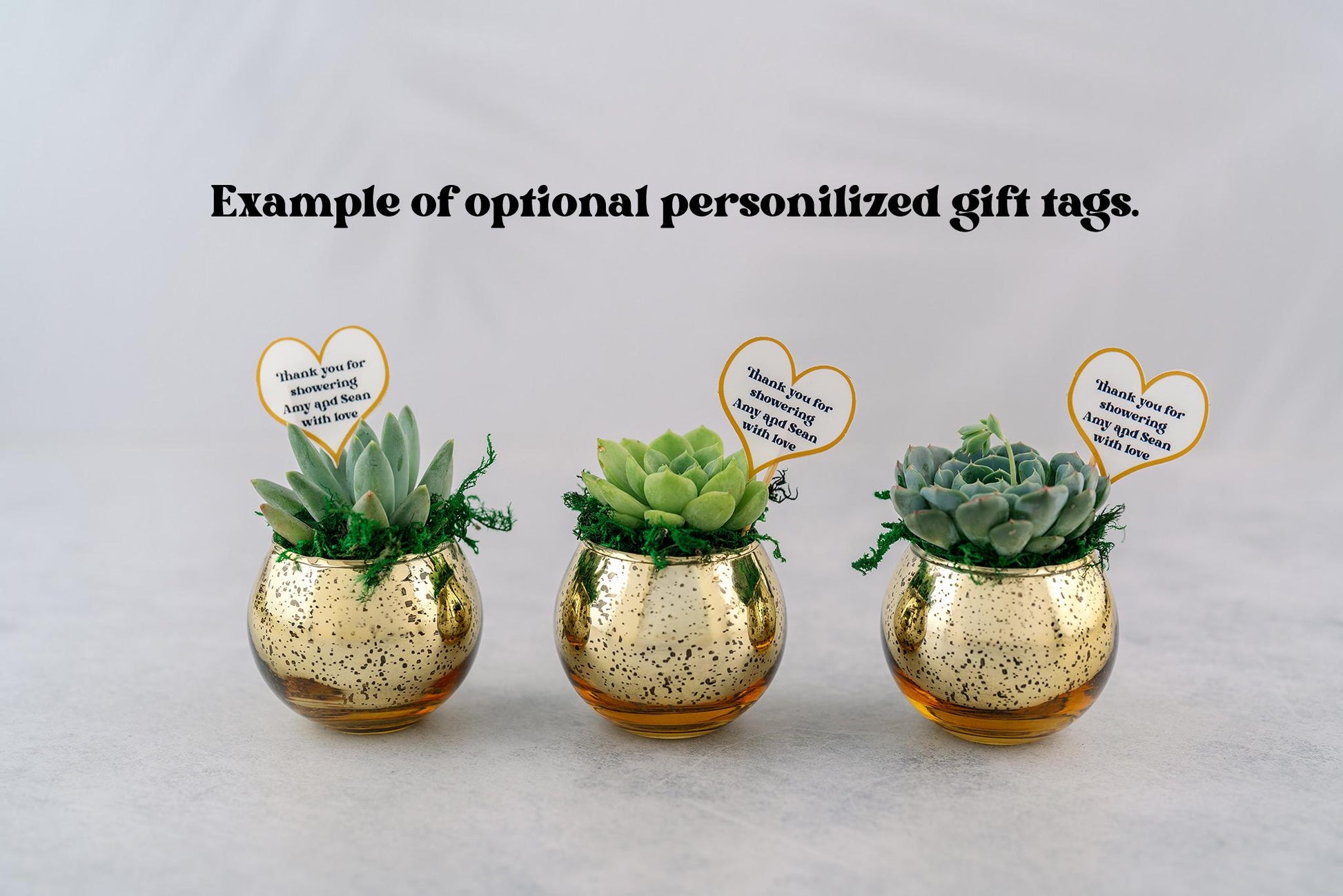 Rainbow Succulent Favors in Mercury Glass Globes for Weddings and Events, Optional Personalization, Bulk Gifts QTY: 6+