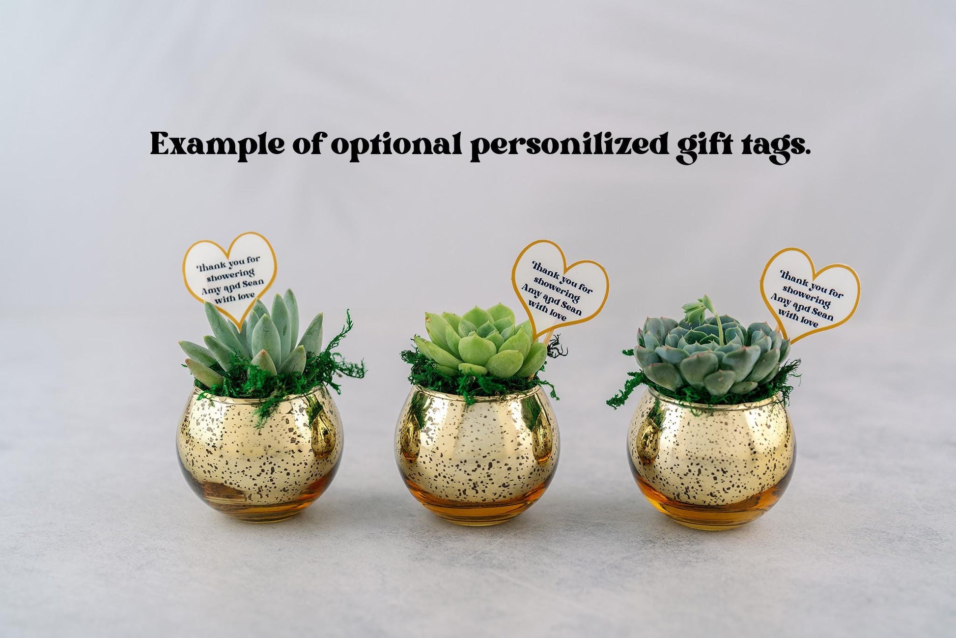 Succulent Favors in Blue Mercury Glass Globes for Weddings and Events, Optional Personalization, Bulk Gifts QTY: 5+