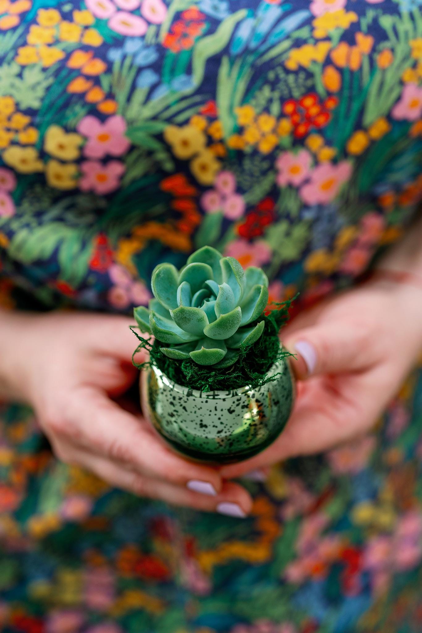 Succulent Favors in Green Mercury Glass Globes for Weddings and Events, Optional Personalization, Bulk Gifts QTY: 5+