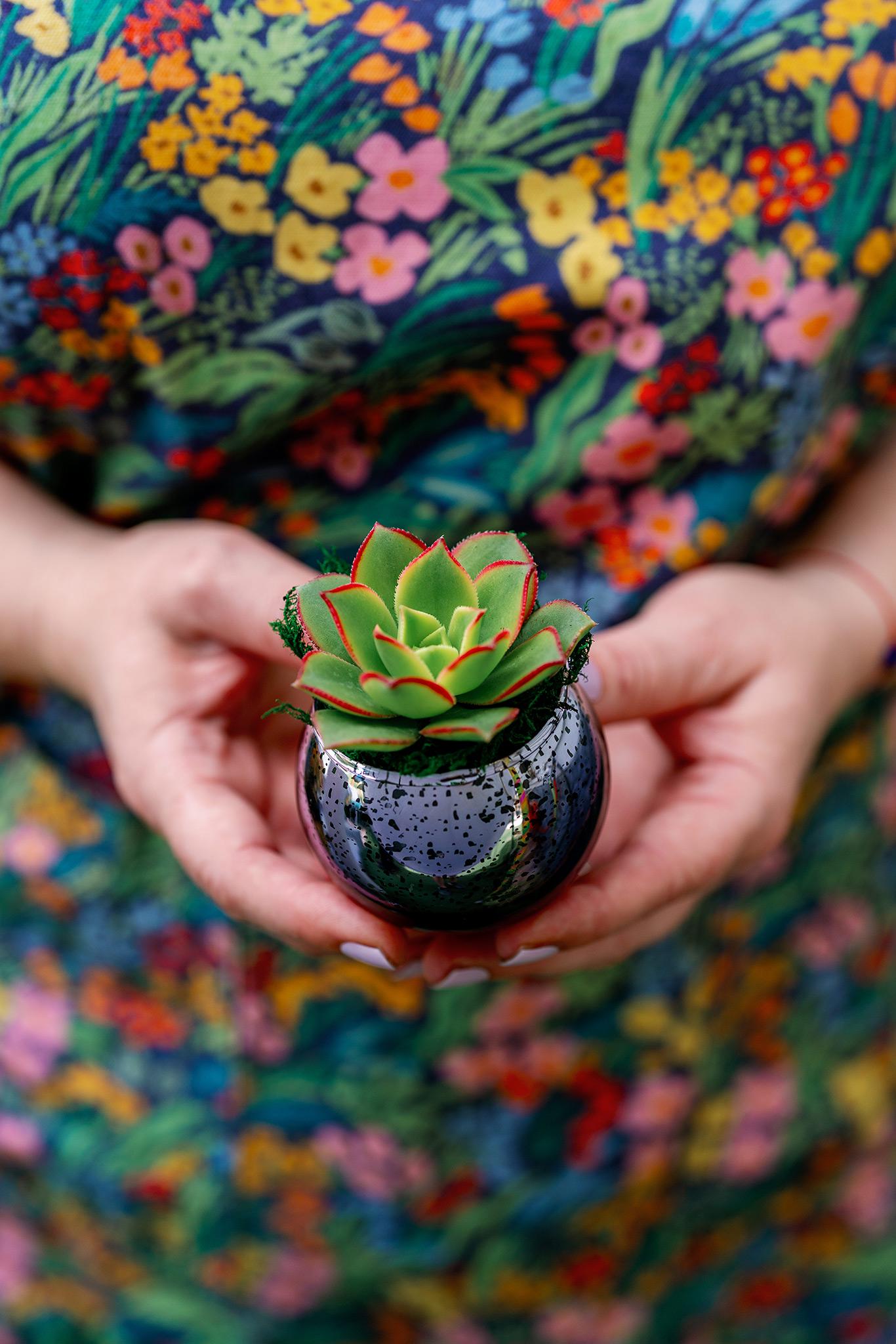 Succulent Favors in Purple Mercury Glass Globes for Weddings and Events, Optional Personalization, Bulk Gifts QTY: 5+