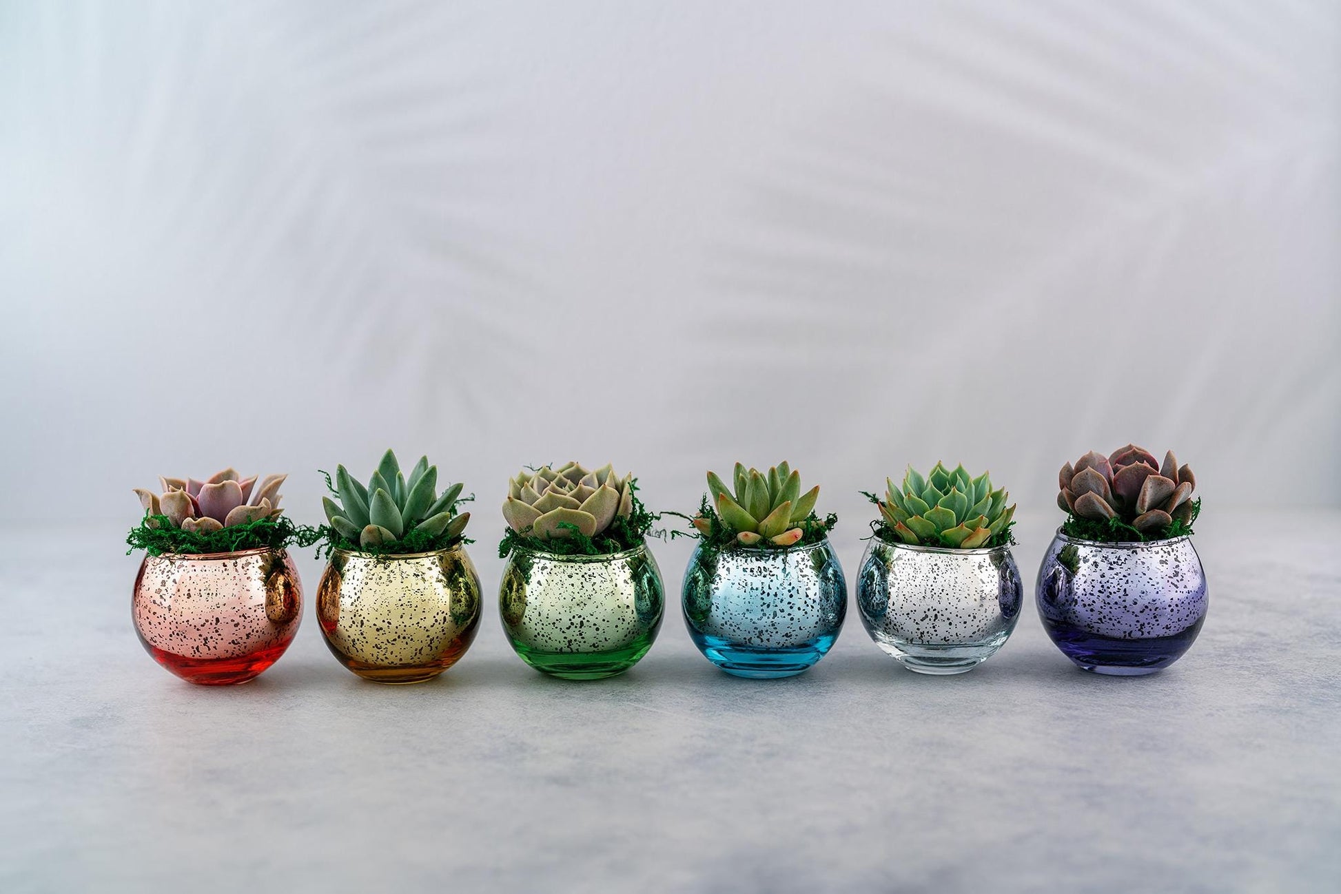 Succulent Favors in Pink-Rose Gold Mercury Glass Globes for Weddings and Events, Optional Personalization, Bulk Gifts QTY: 5+