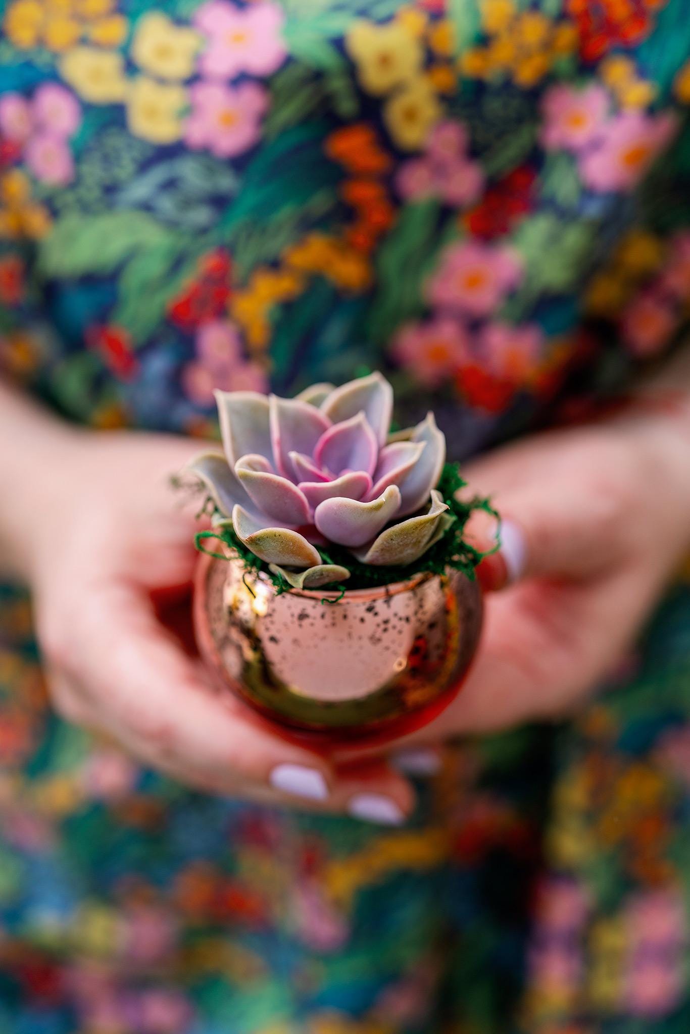 Succulent Favors in Pink-Rose Gold Mercury Glass Globes for Weddings and Events, Optional Personalization, Bulk Gifts QTY: 5+