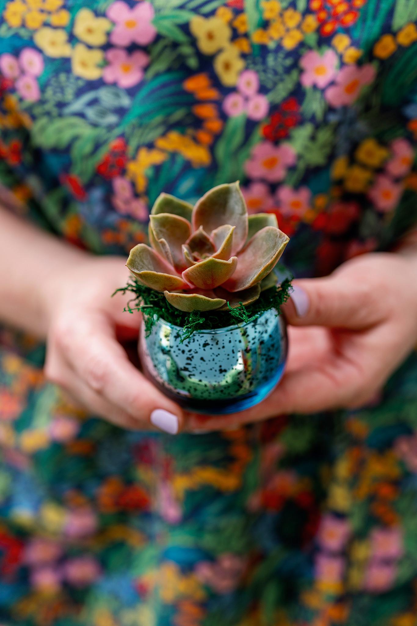 Rainbow Succulent Favors in Mercury Glass Globes for Weddings and Events, Optional Personalization, Bulk Gifts QTY: 6+