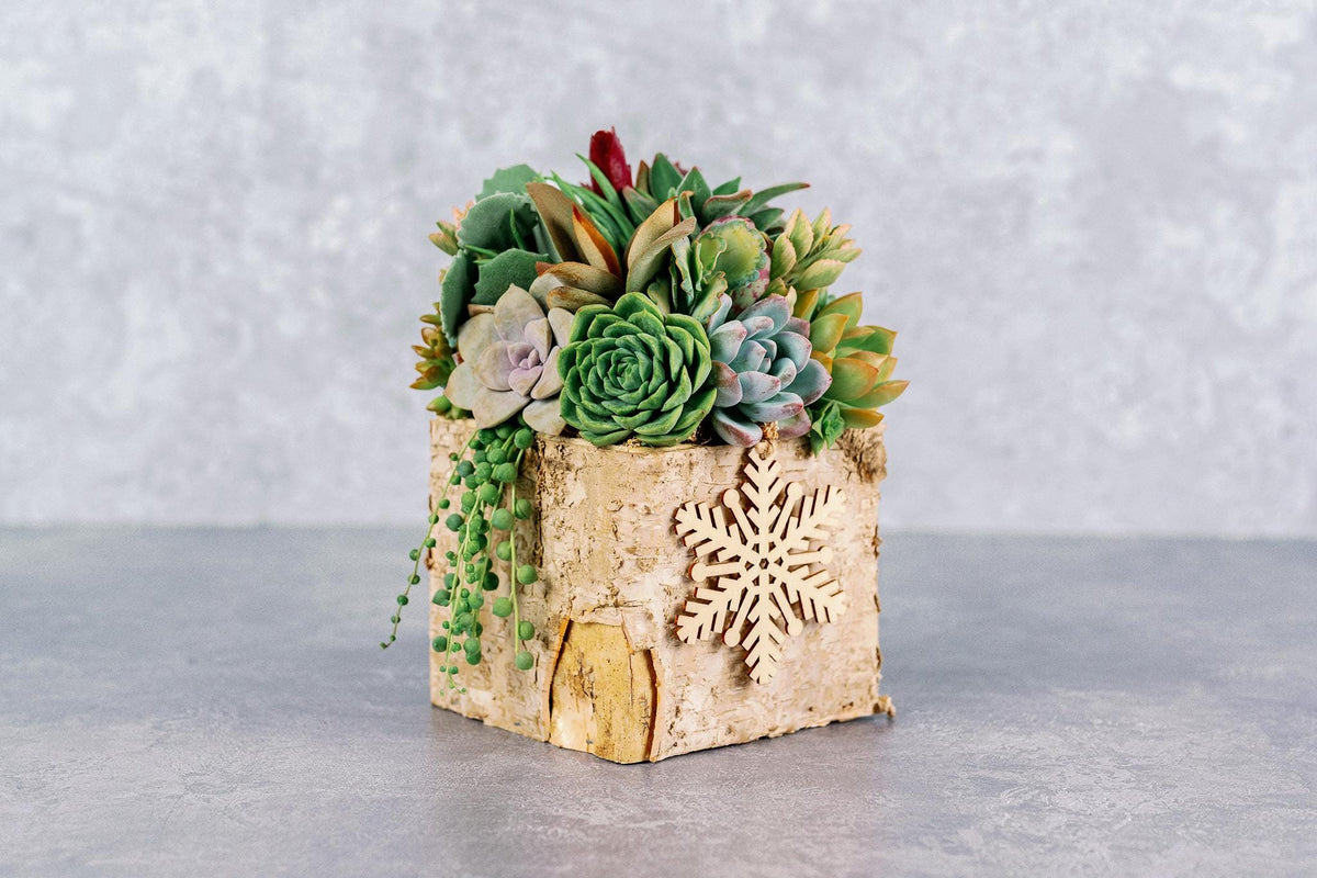 Birch Bark Succulent Arrangement with Snowflake Ornaments, Winter Holiday Centerpiece
